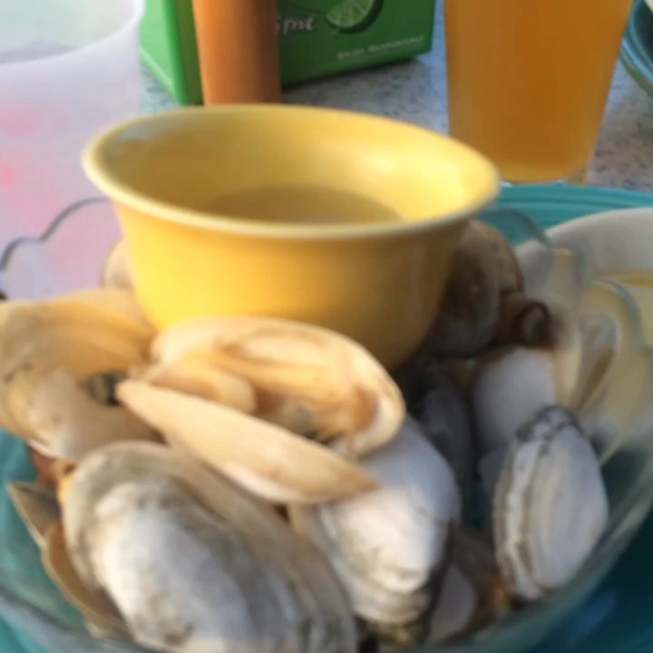 Sundancer's Cape Cod - "Chatham Steamers" - American Near Me - West Dennis, Massachusetts