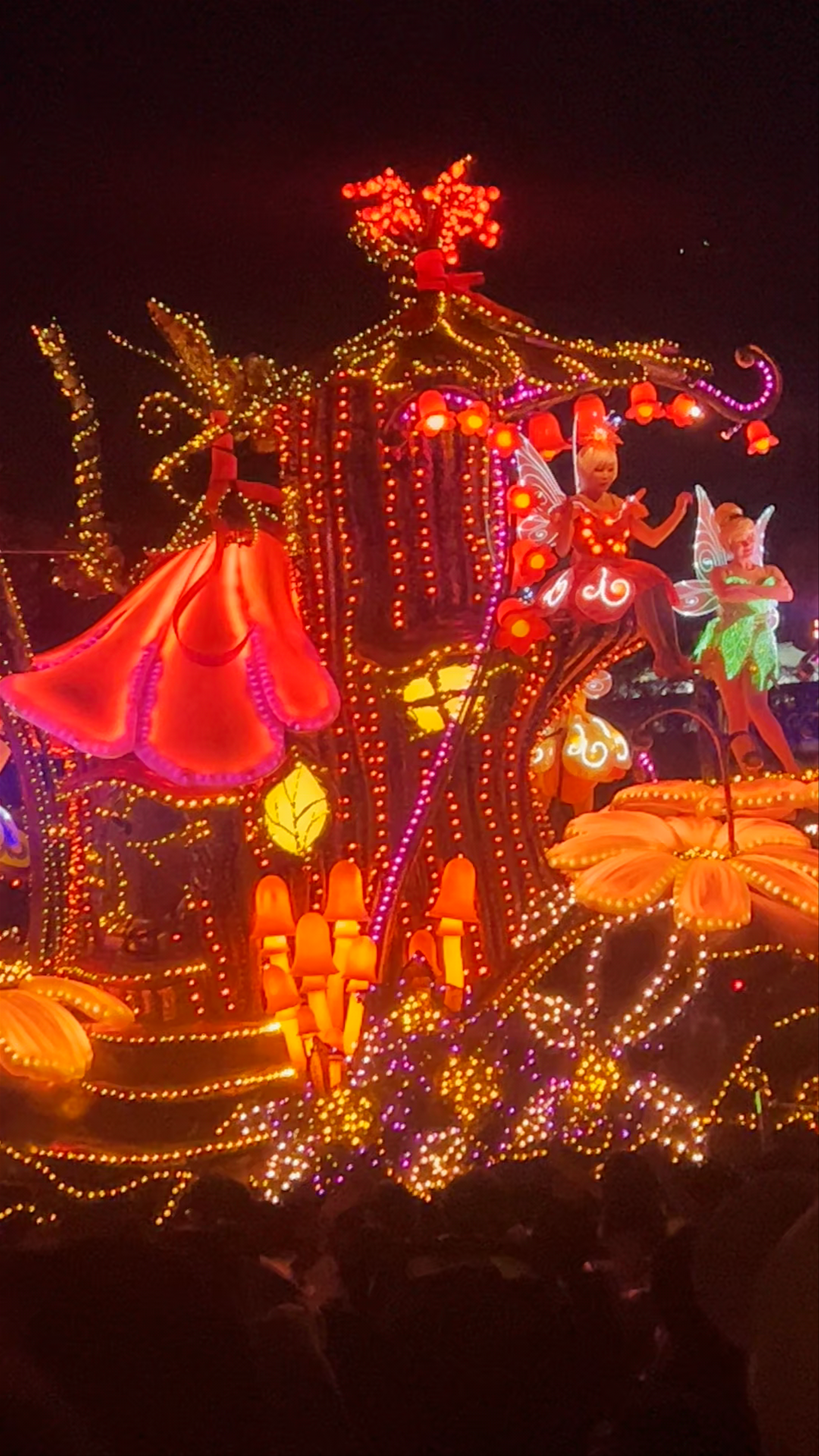 Magical Night Parade at Tokyo Disneyland
