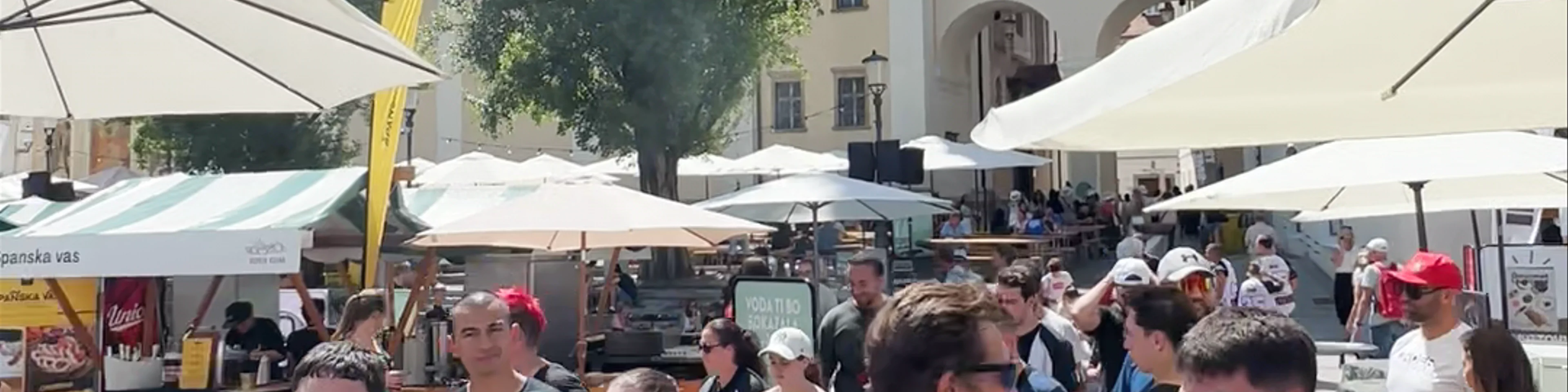 Vegafest