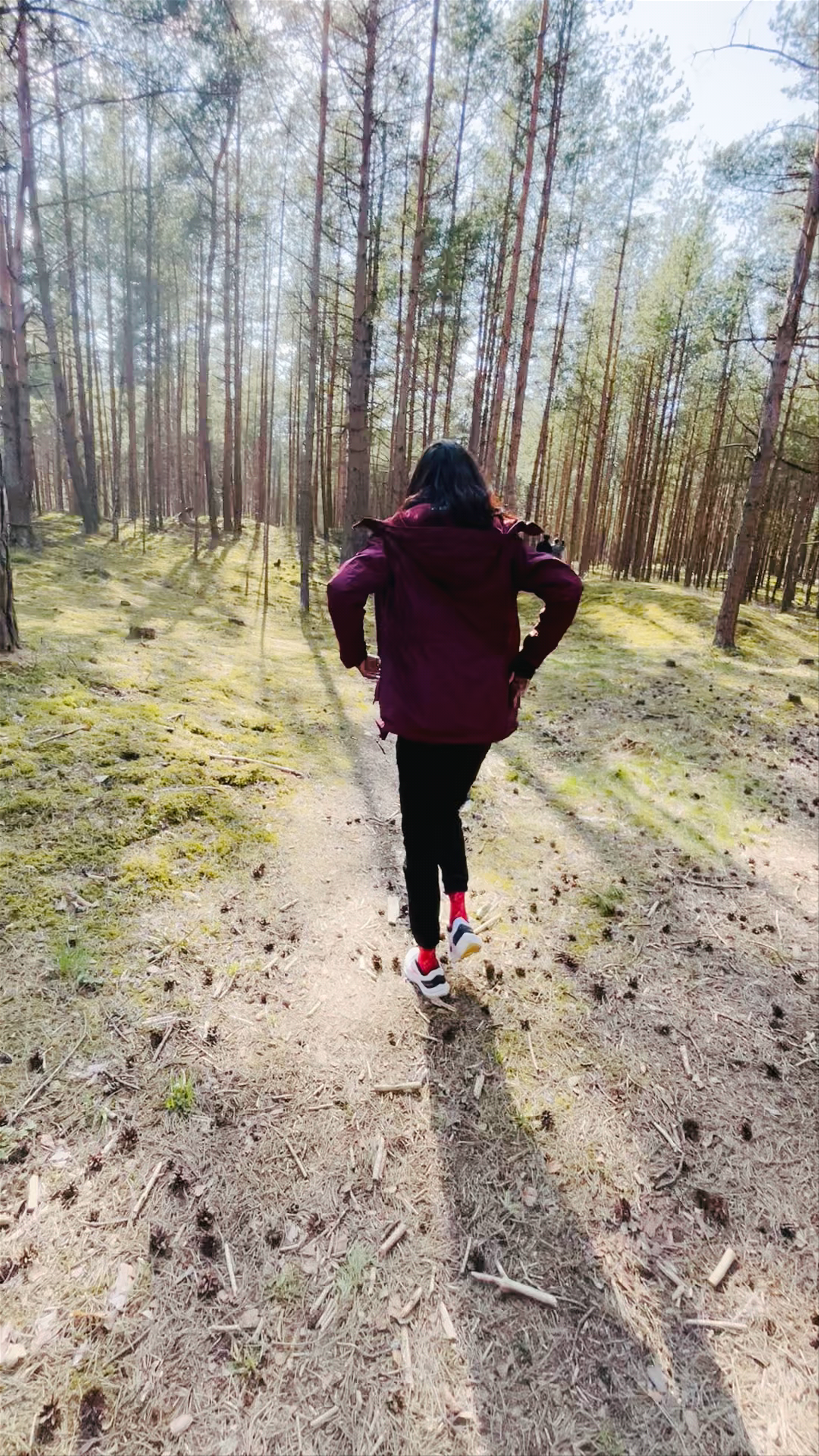 Mangaļsalas Nature Walk: Serene Forest Trails in Northern District, Riga