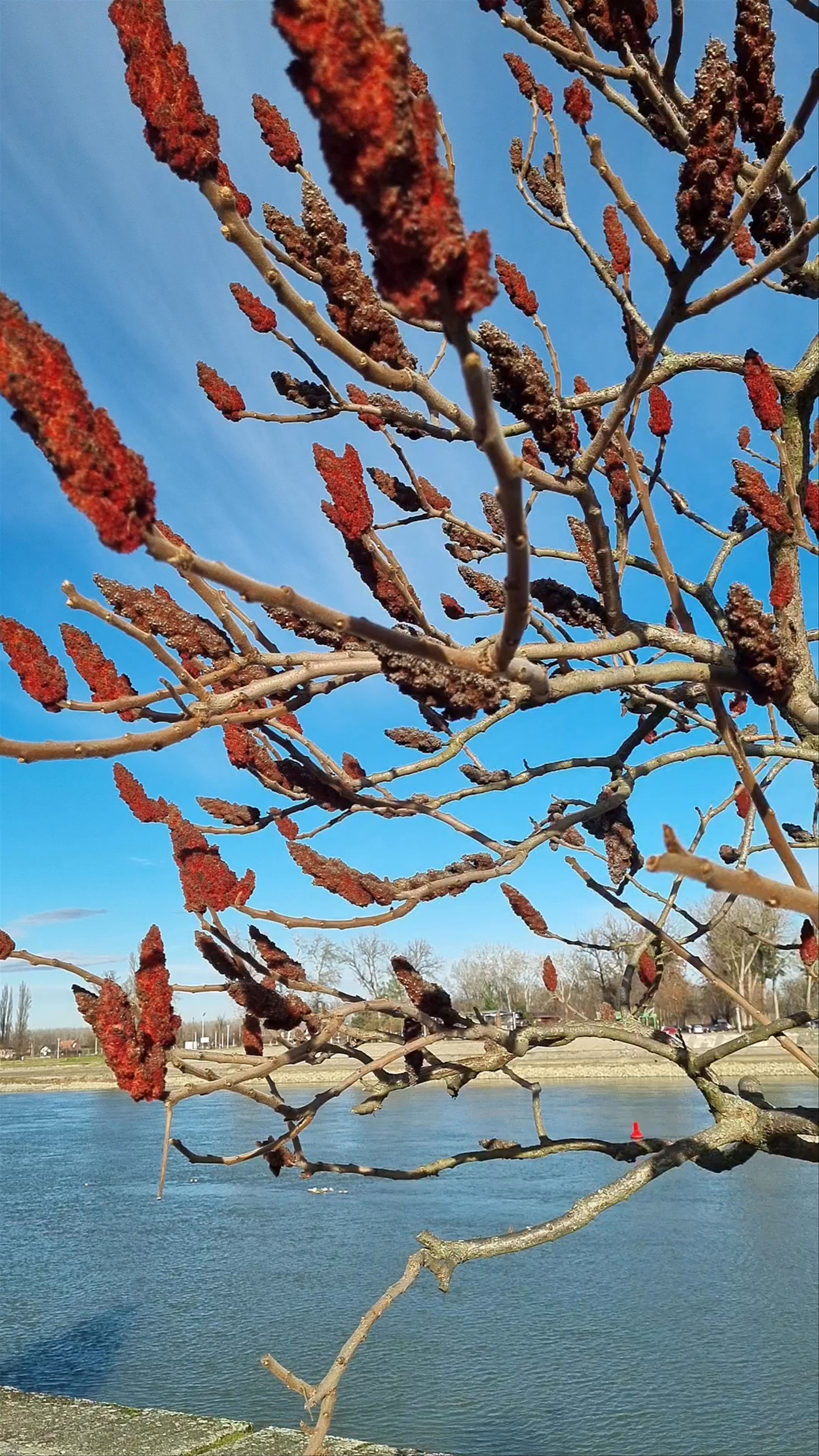 Perivoj kralja Tomislava