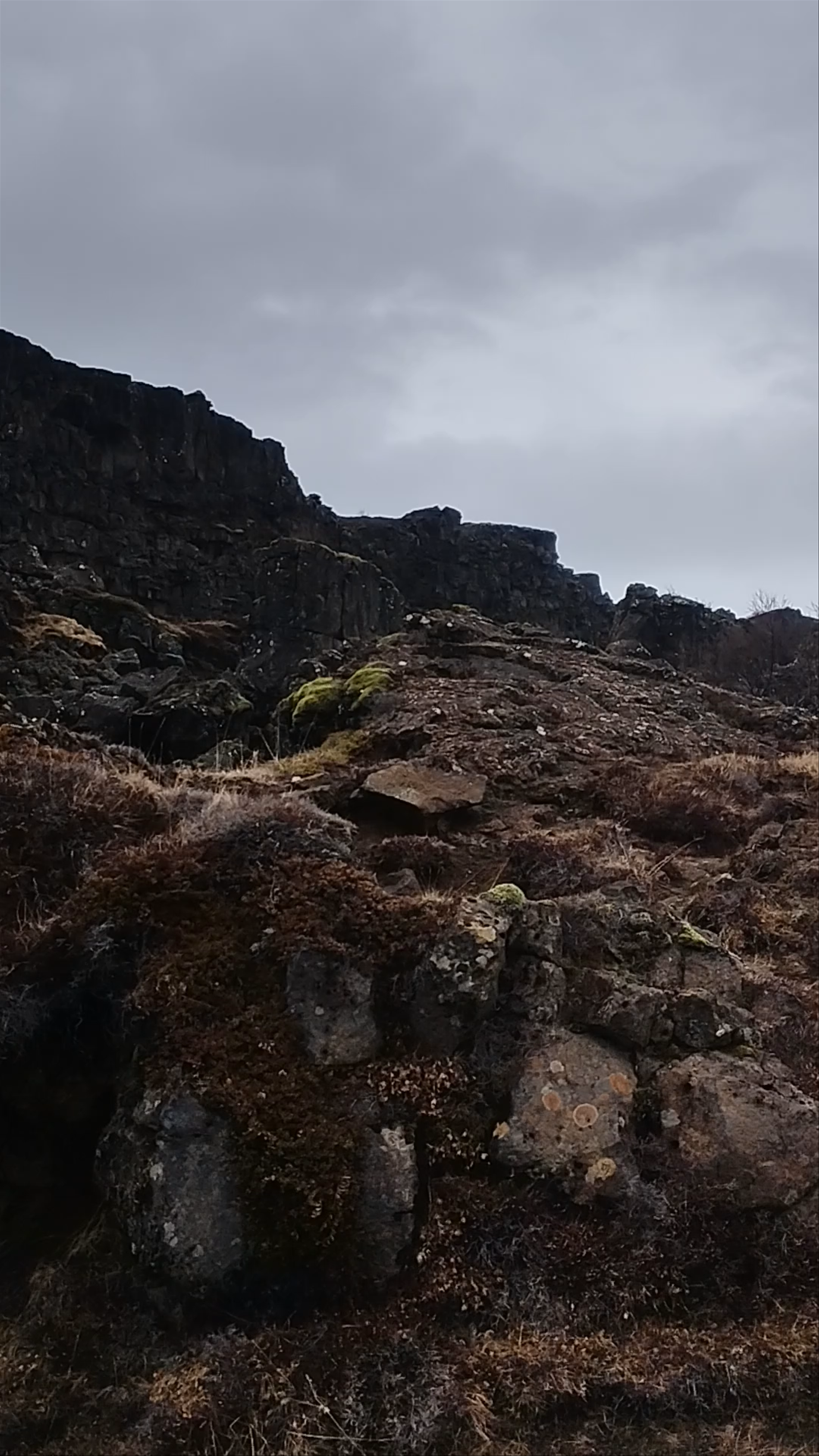 Drekkingarhylur