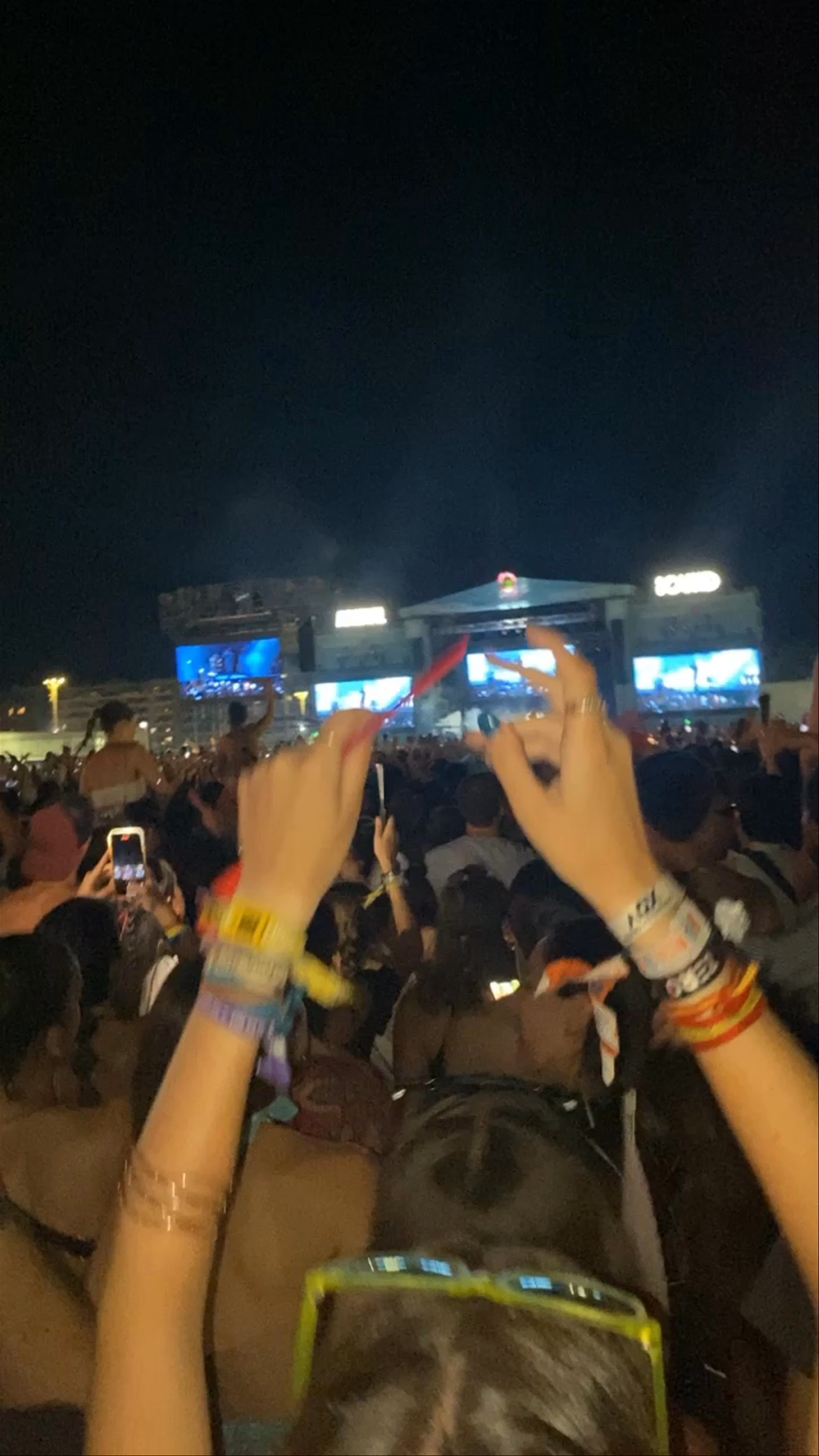 Arenal Sound Festival Night: Electric Vibes at Playa El Arenal, Spain
