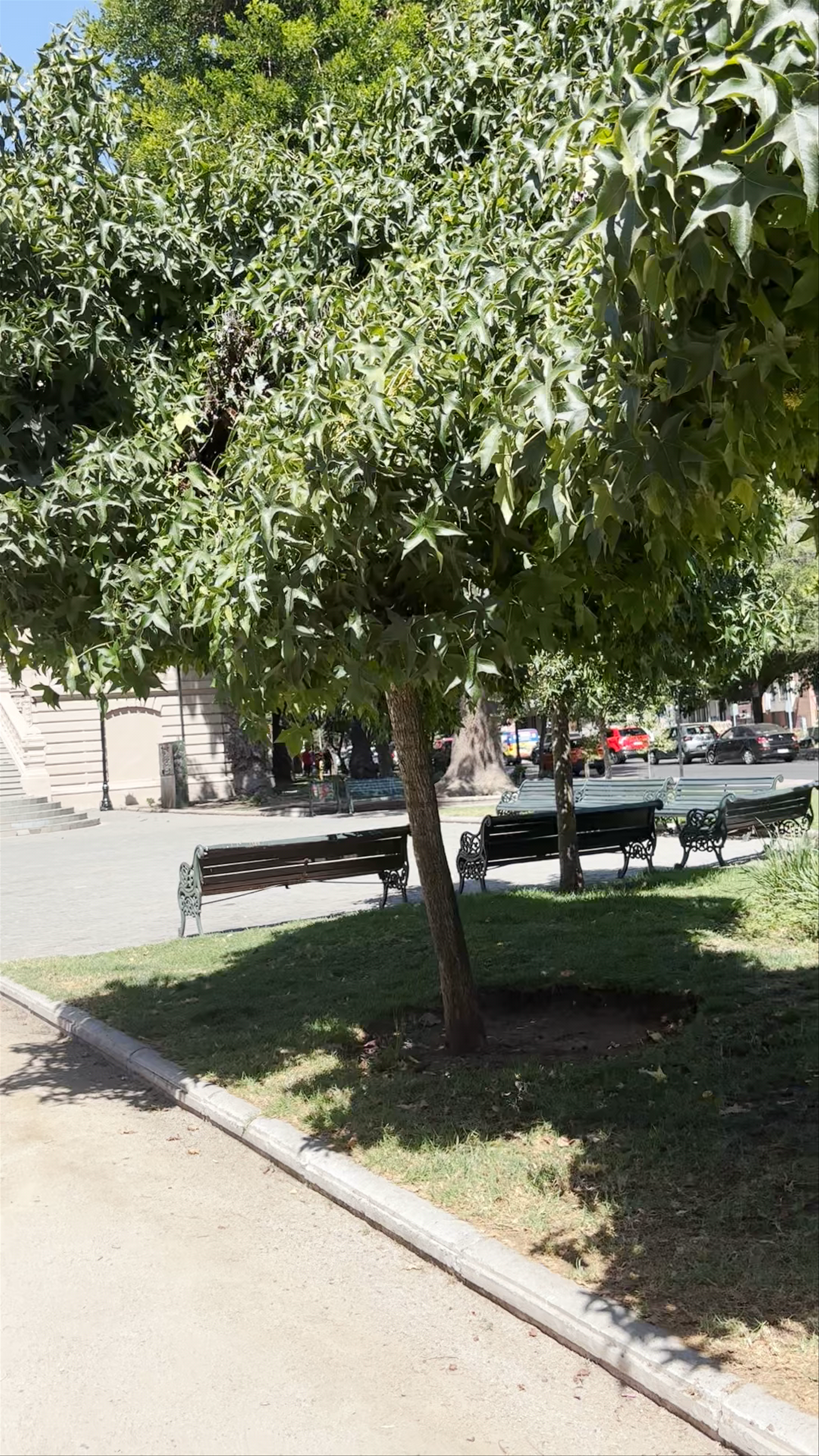 Academia Chilena de Bellas Artes - Almirante Montt