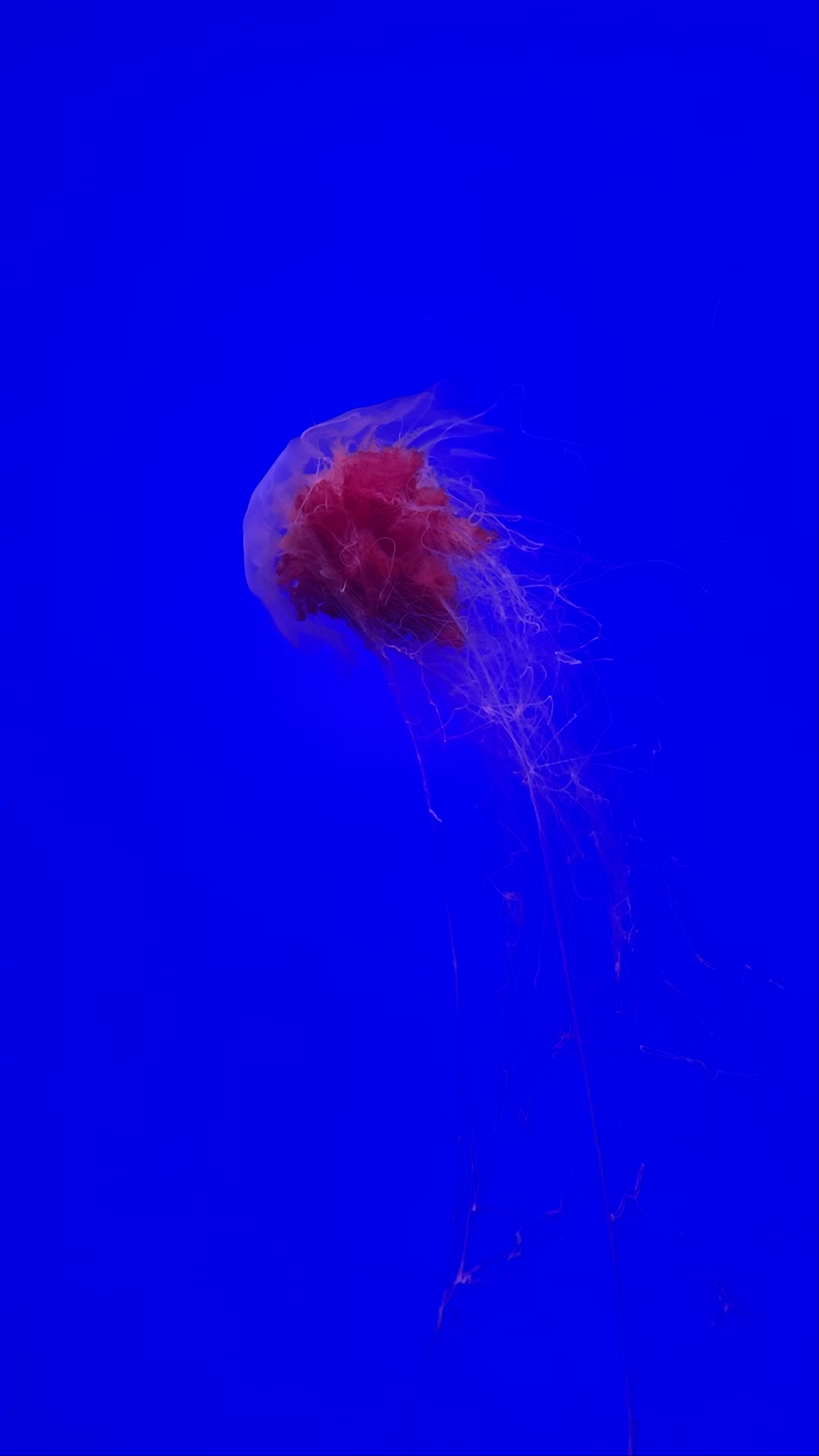 Sea World