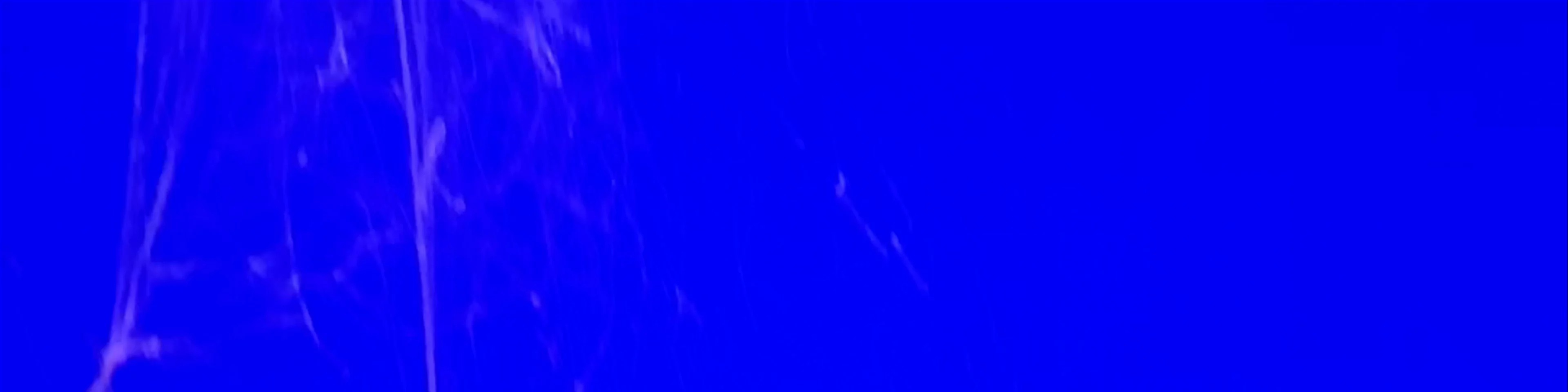 Sea World