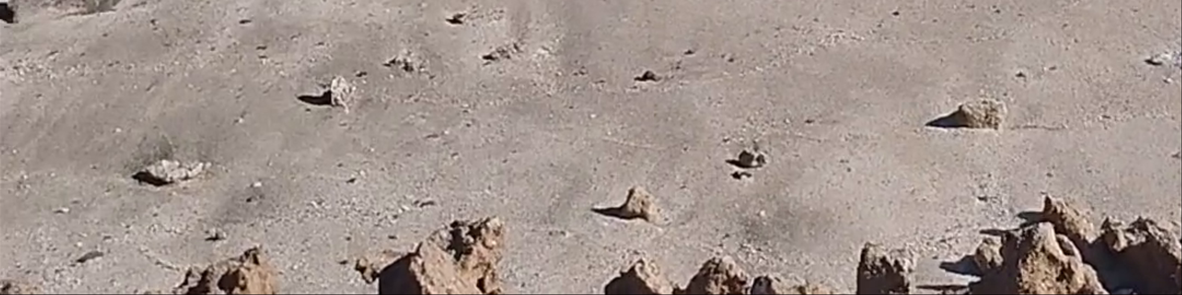 Espargos