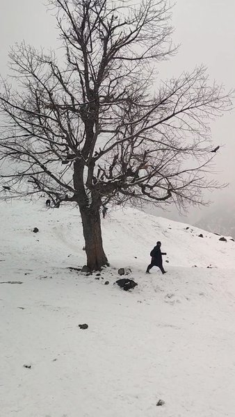 Photo of Winter Sonamarg Vibe