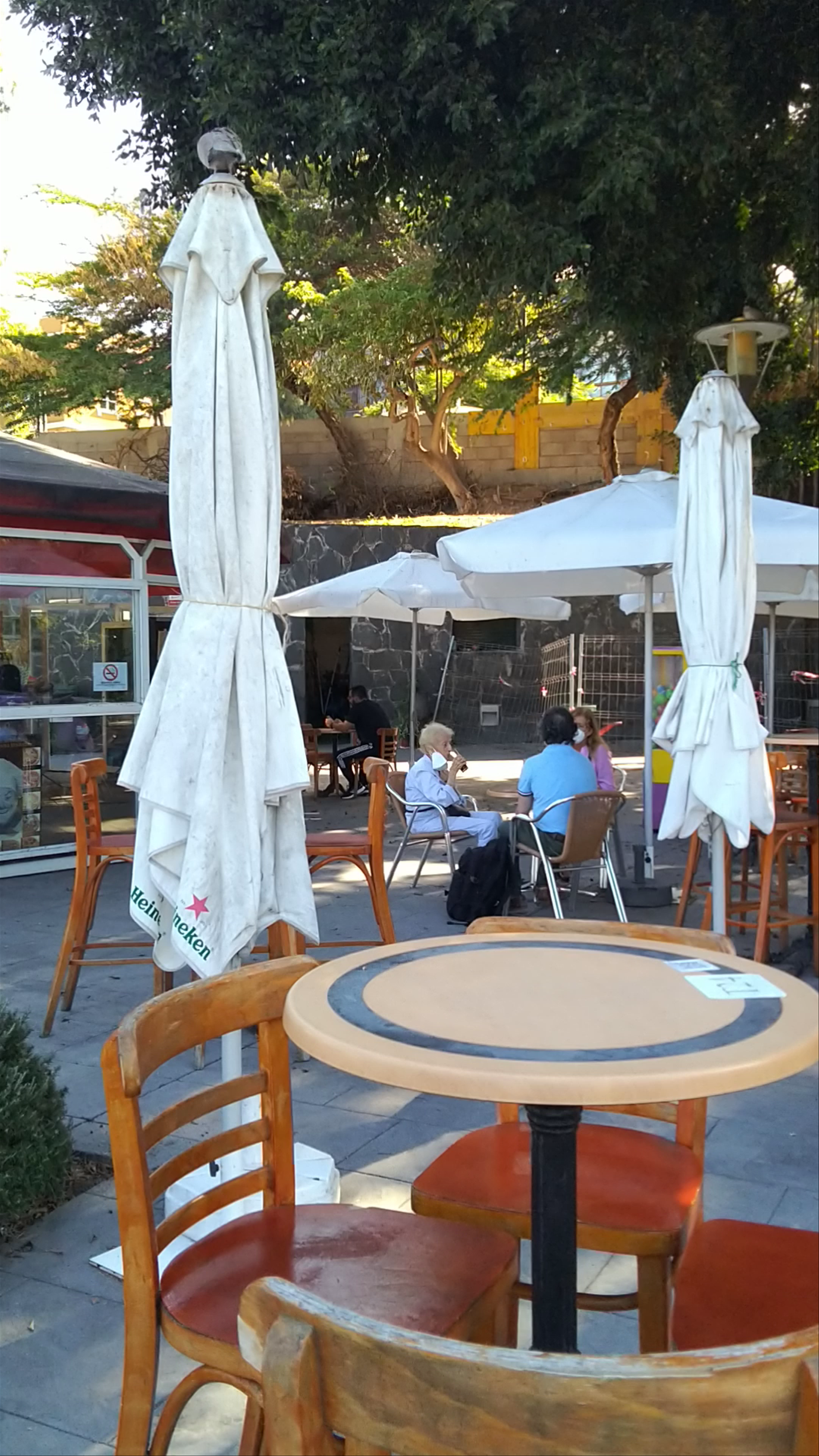 Sunny Outdoor Terrace at Parque Doramas, Las Palmas de Gran Canaria