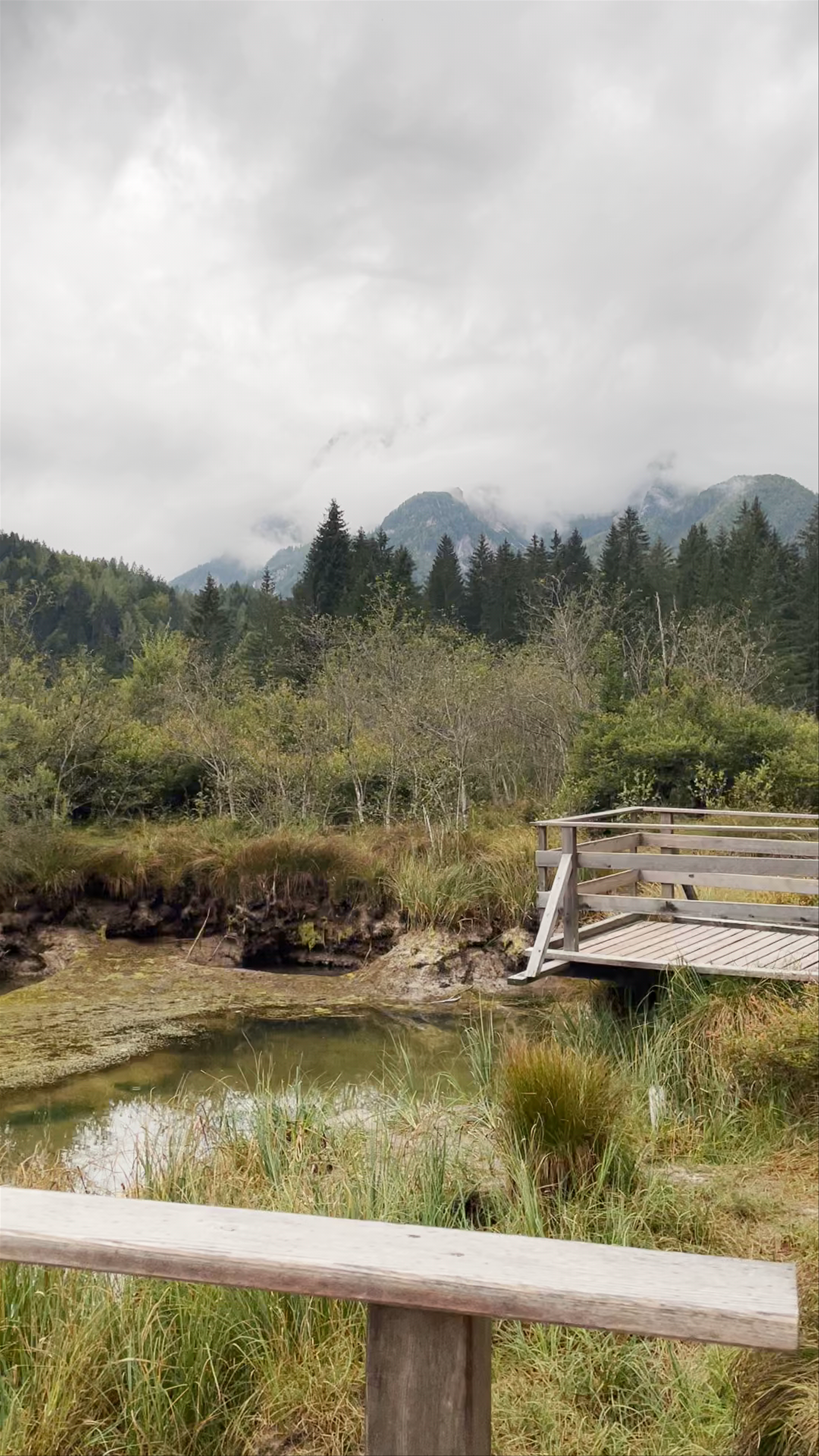 Zelenci Nature Reserve