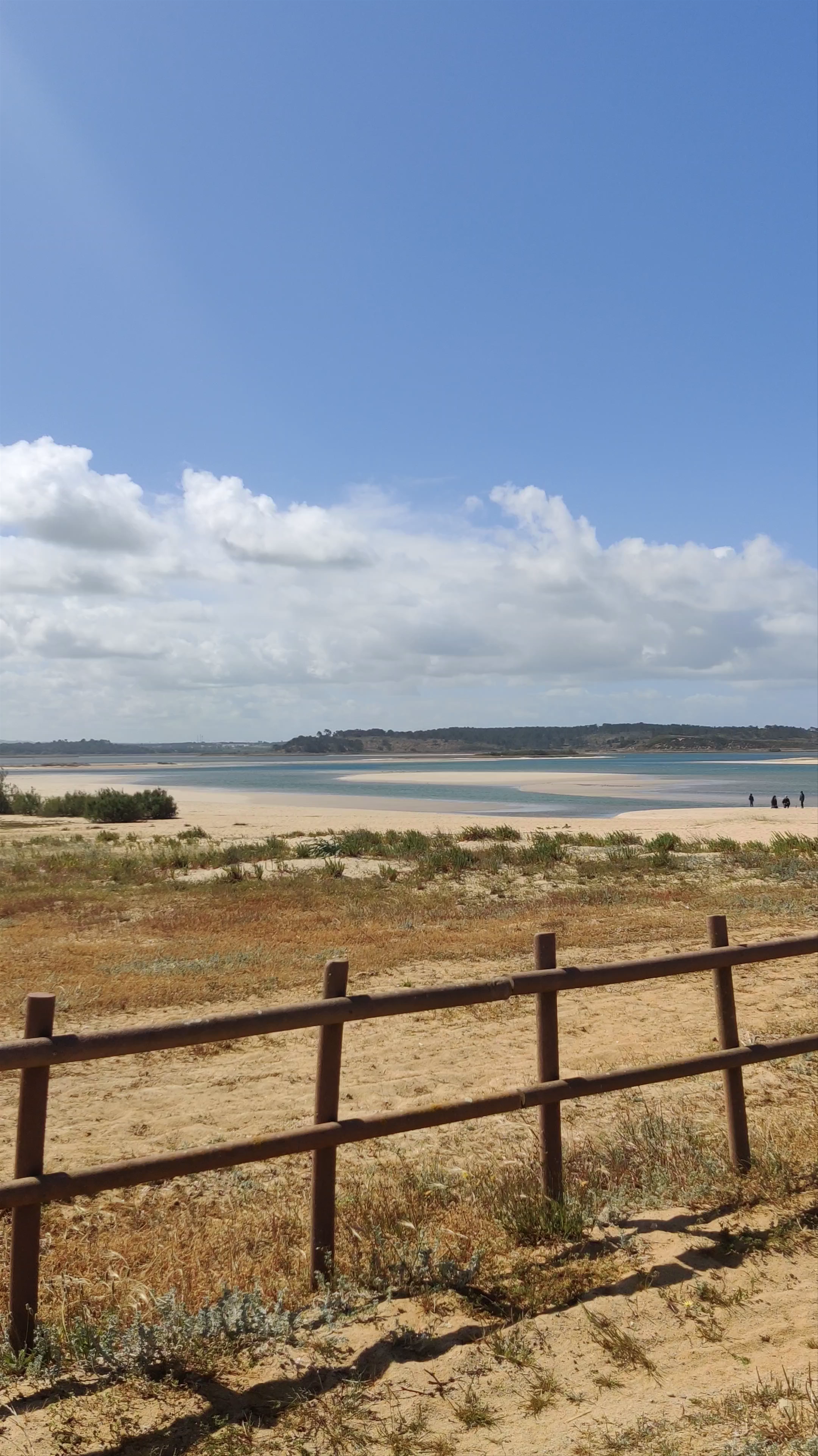 Reserva Natural das Lagoas de Santo André e Sancha