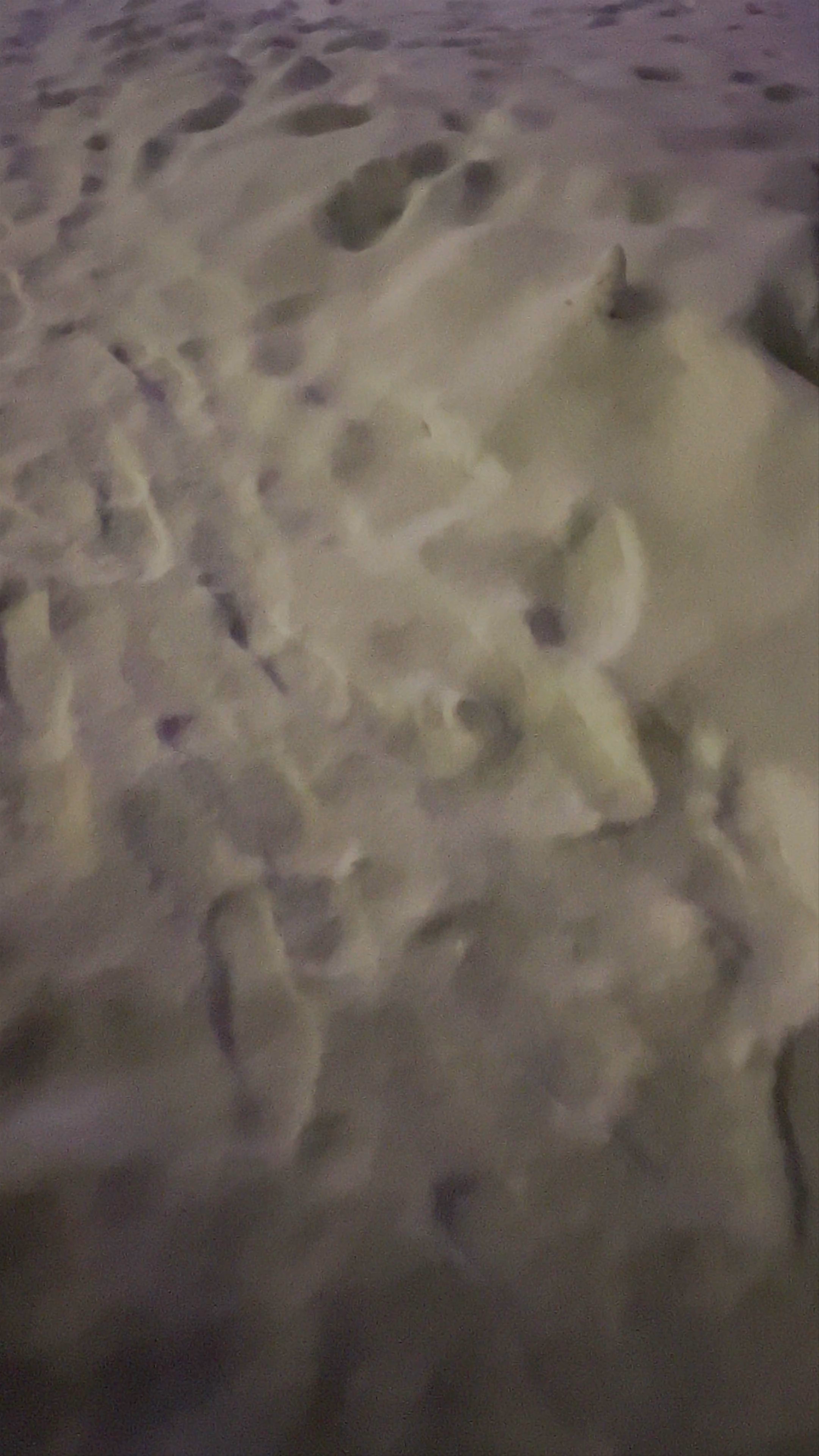 Winter Night at Musikkpavilijongen in Tromsø