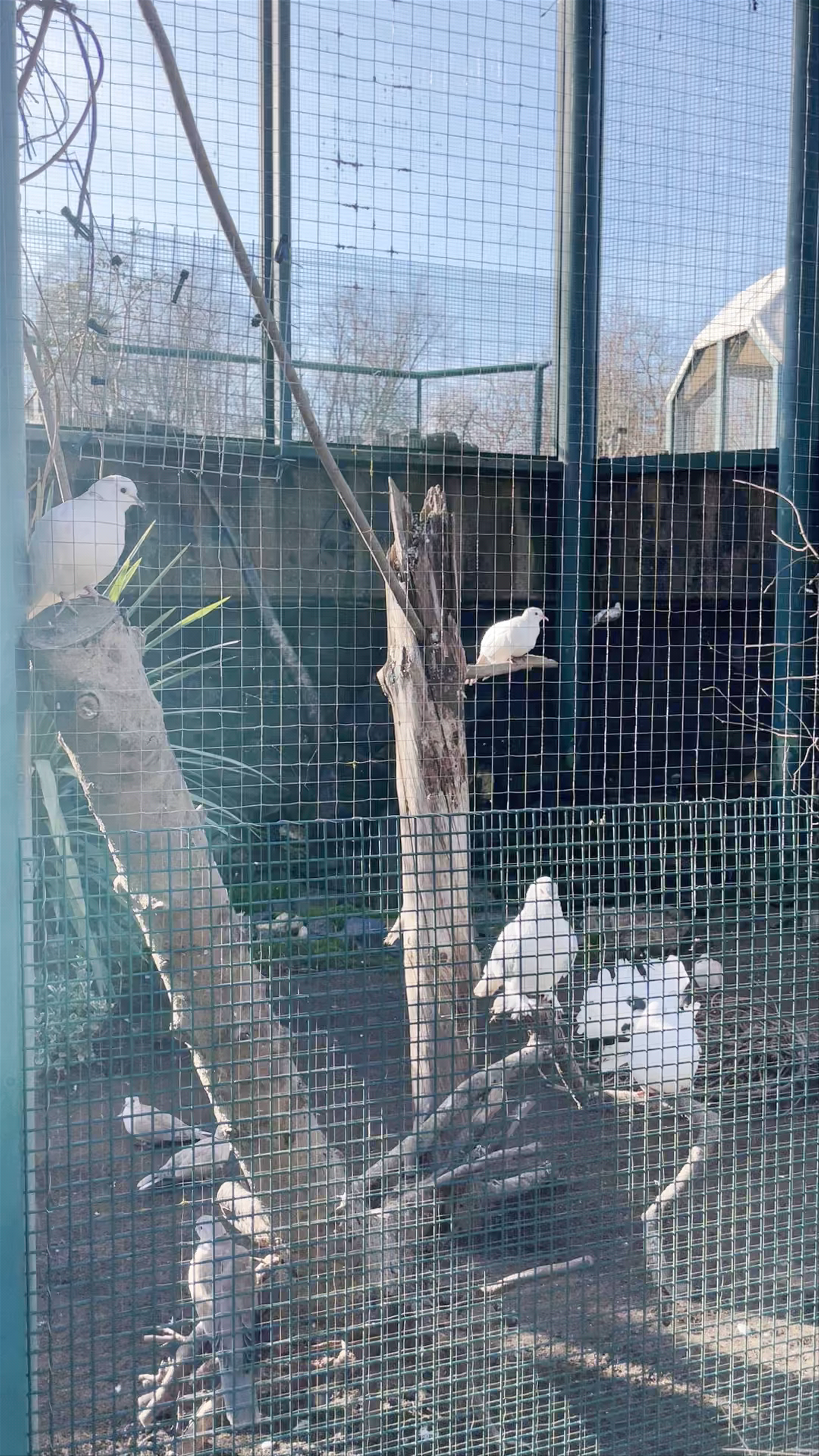 Parc aux animaux du Bois-de-la-Bâtie