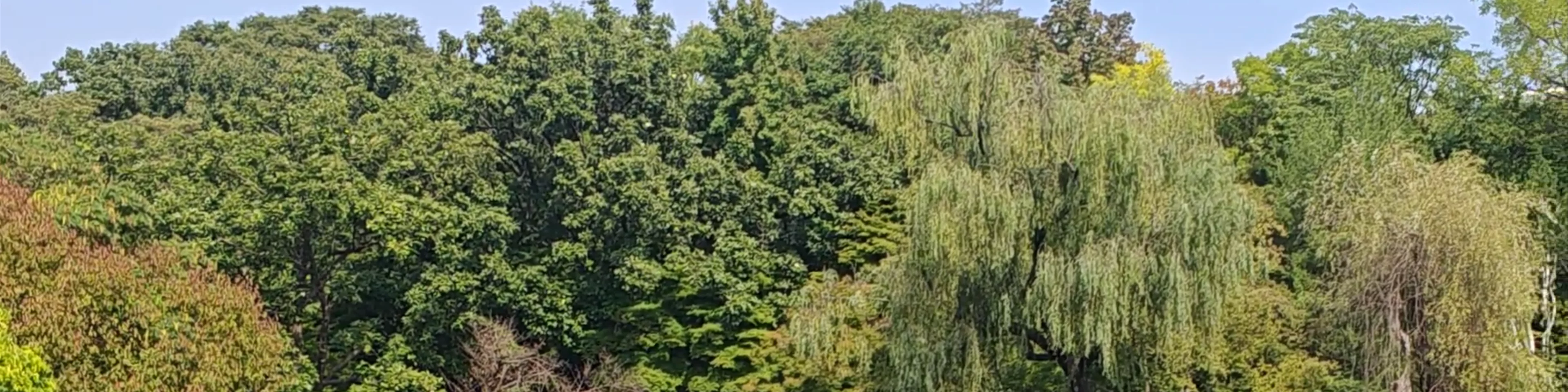 Chundangji Pond