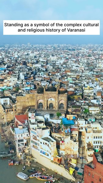 Photo of Discover the timeles