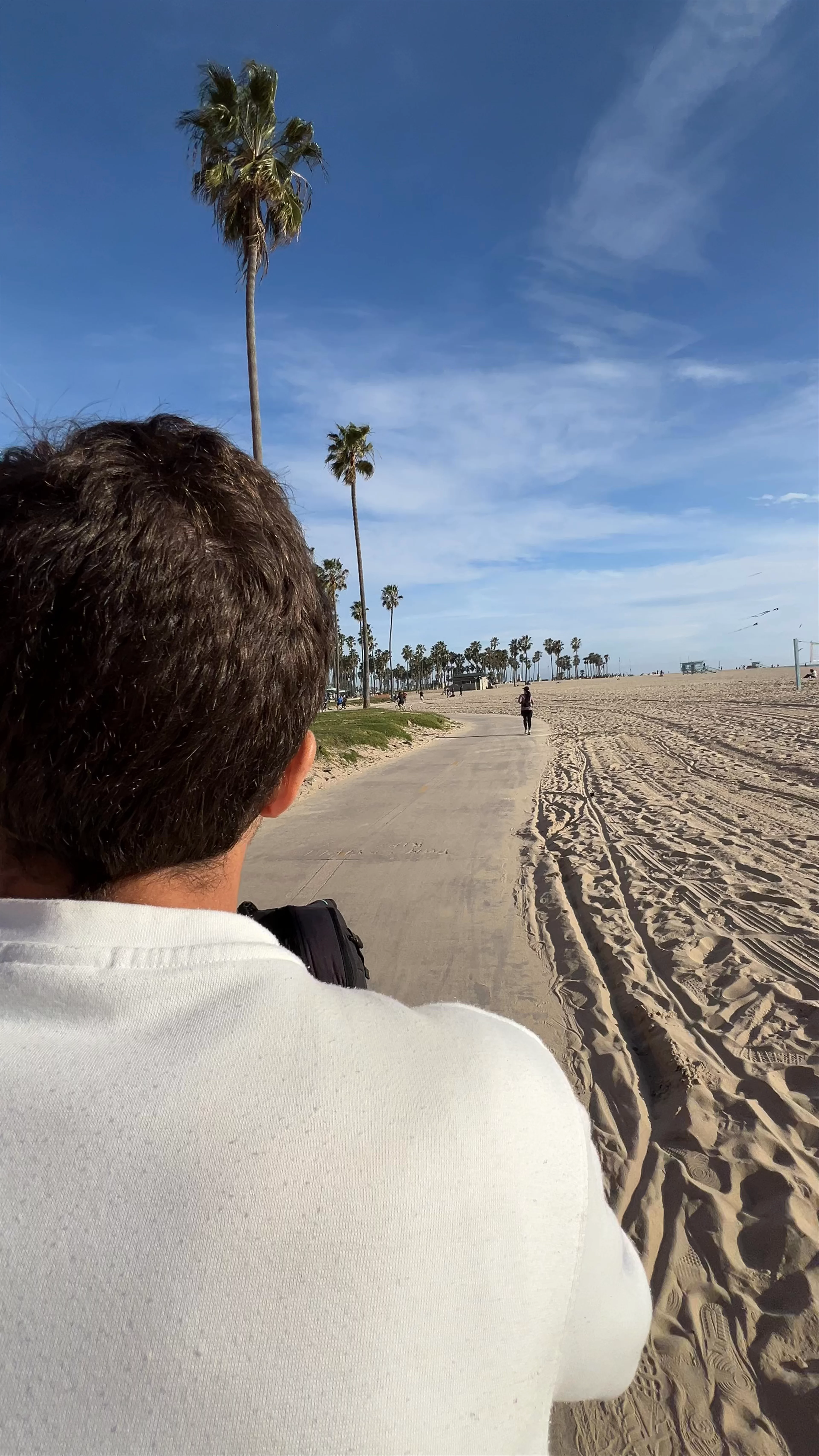 Venice Beach