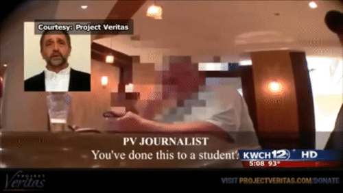 Video Thumbnail Loop