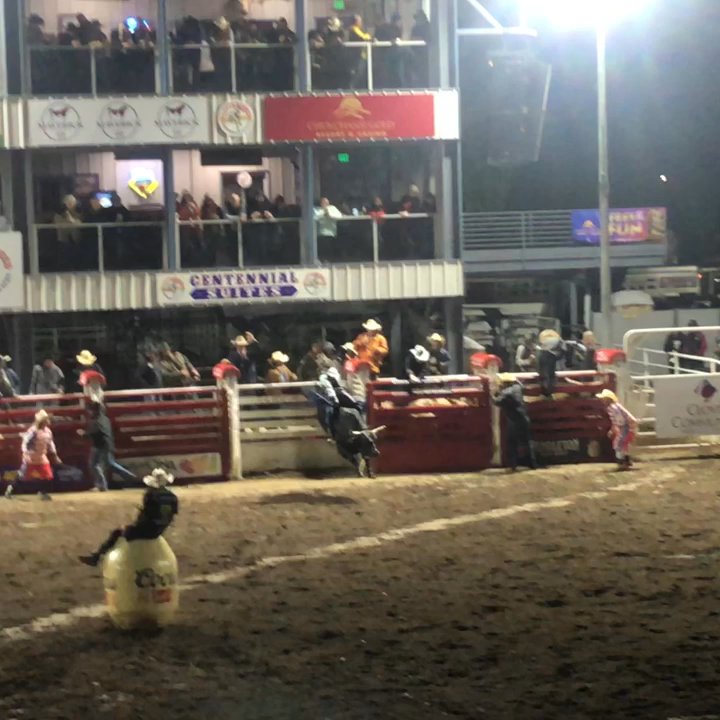 Clovis Rodeo - Bull riding, 8 sec met!! - Rodeo Near Me - Clovis, California