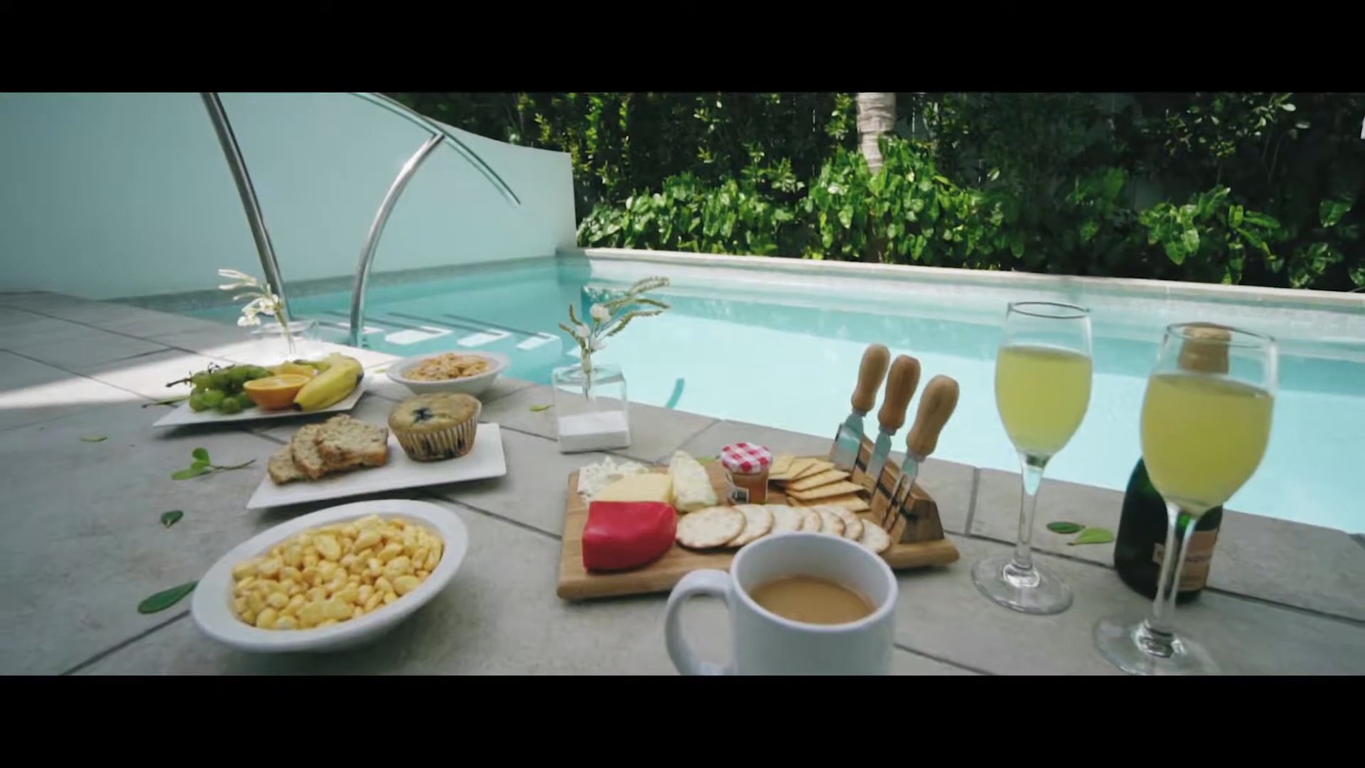 Portfolio clip by Christian S., Tampa videographer