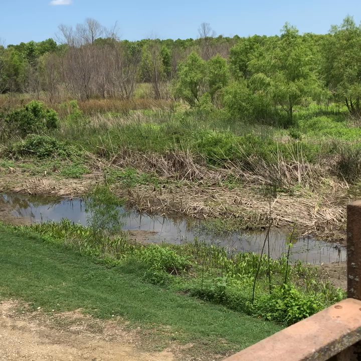 Lake waco wetlands - There is an overlook for the area. - Lakes Near Me - Crawford, Texas