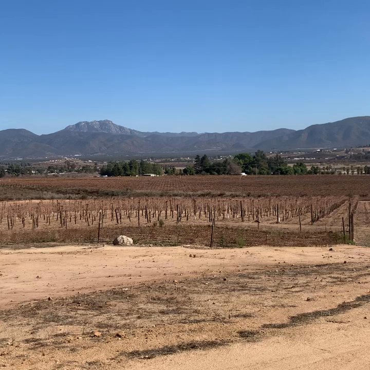 Villa Montefiori - Beautiful building and location - Wine Tasting Room Near Me - Ensenada, BCN