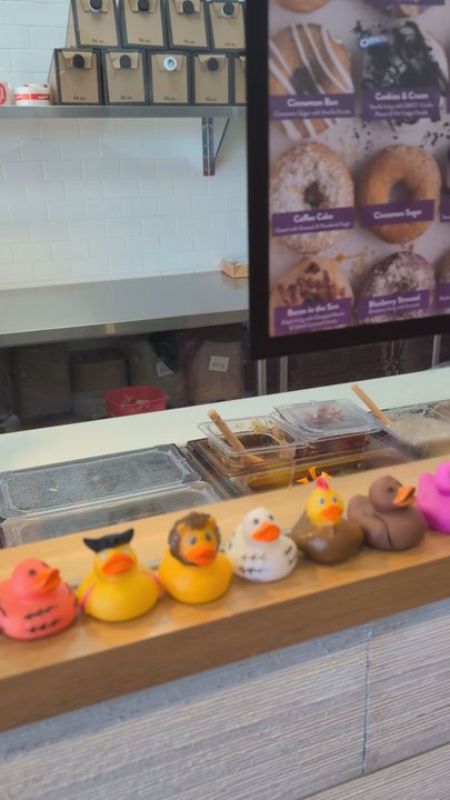 Duck Donuts - Ducks! - Donuts Near Me - Ashburn, Virginia
