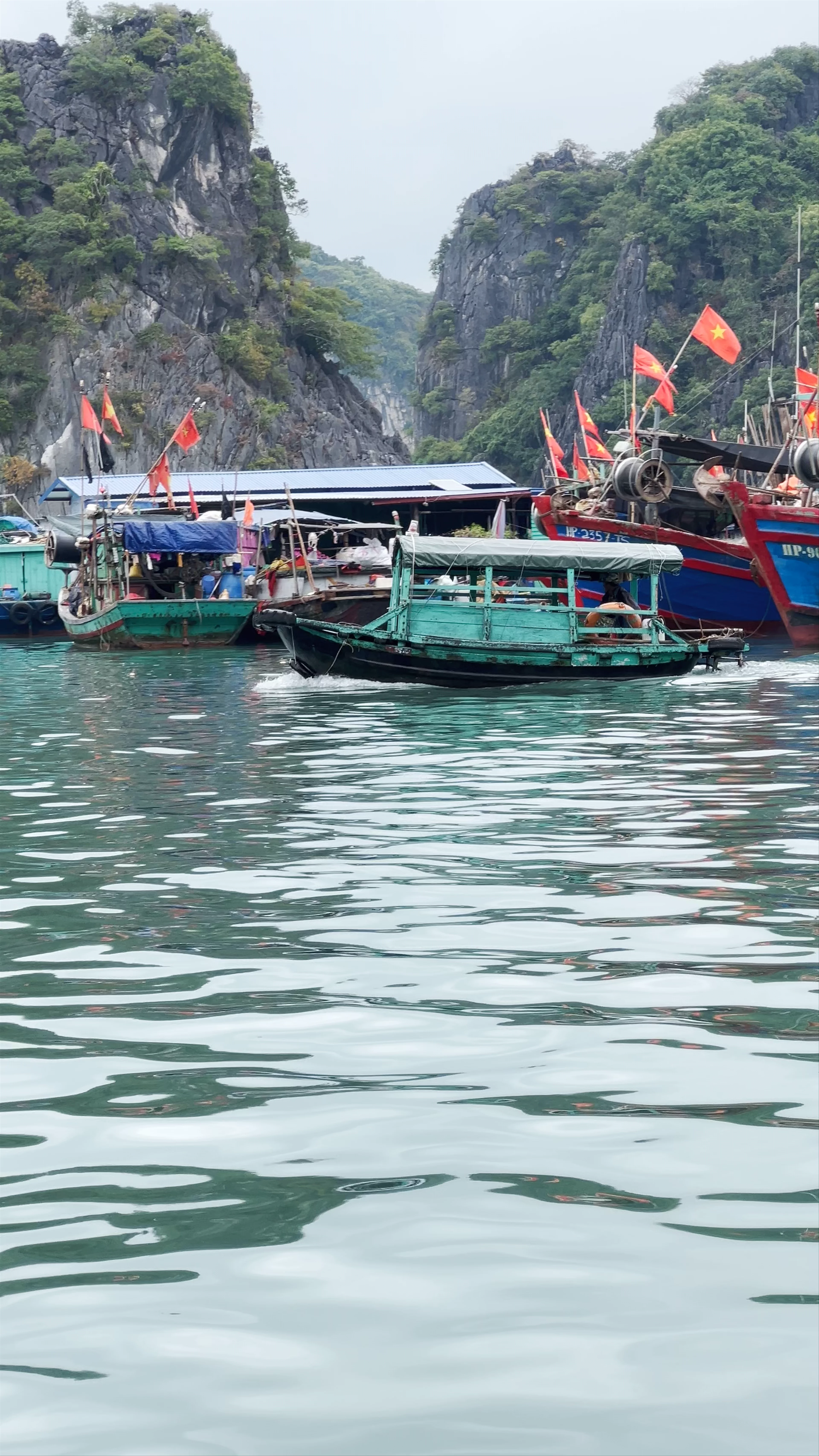 Cai Beo Floating Village