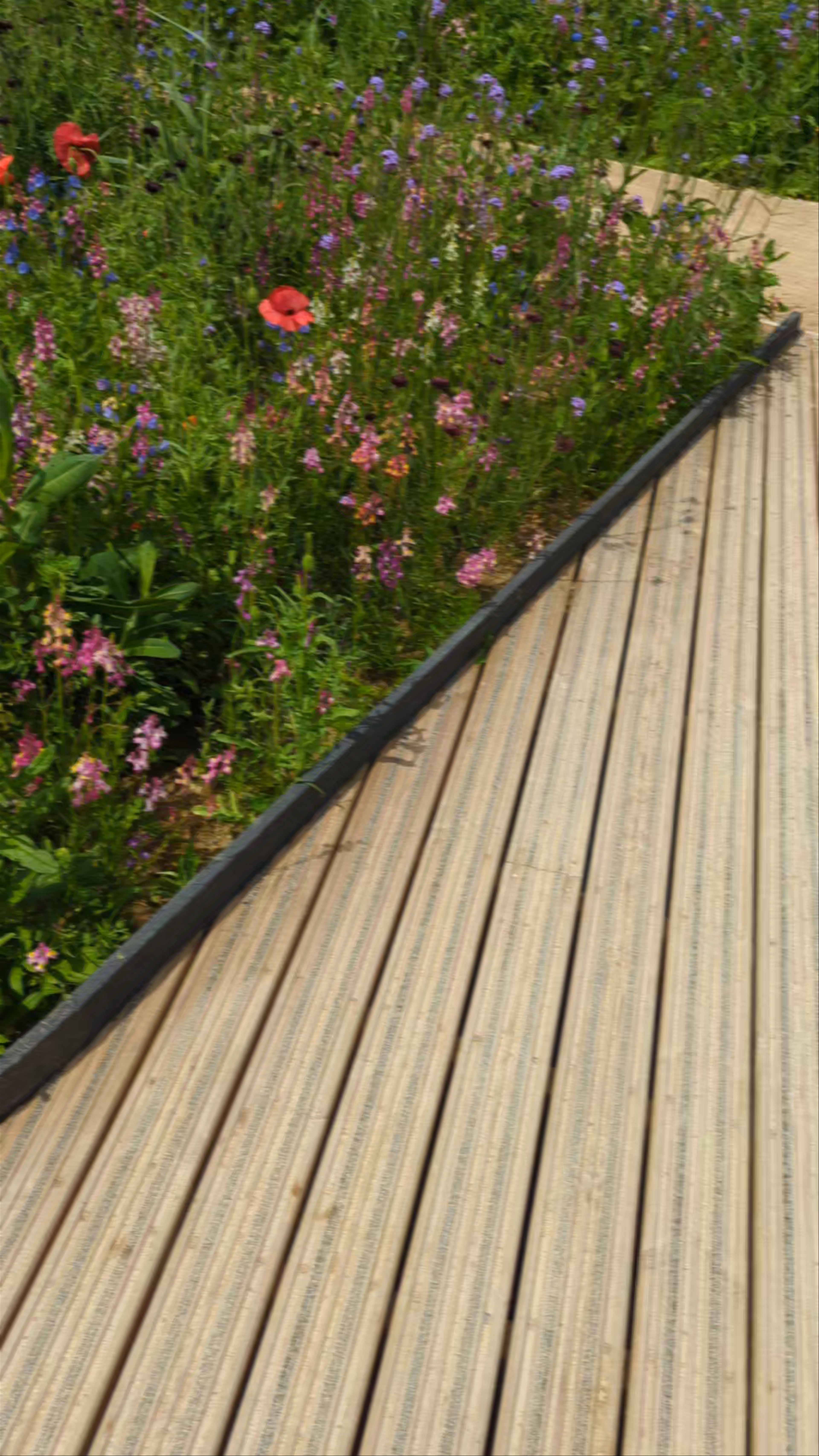 The Tower of London: A Tranquil Wildflower Walk Amidst History