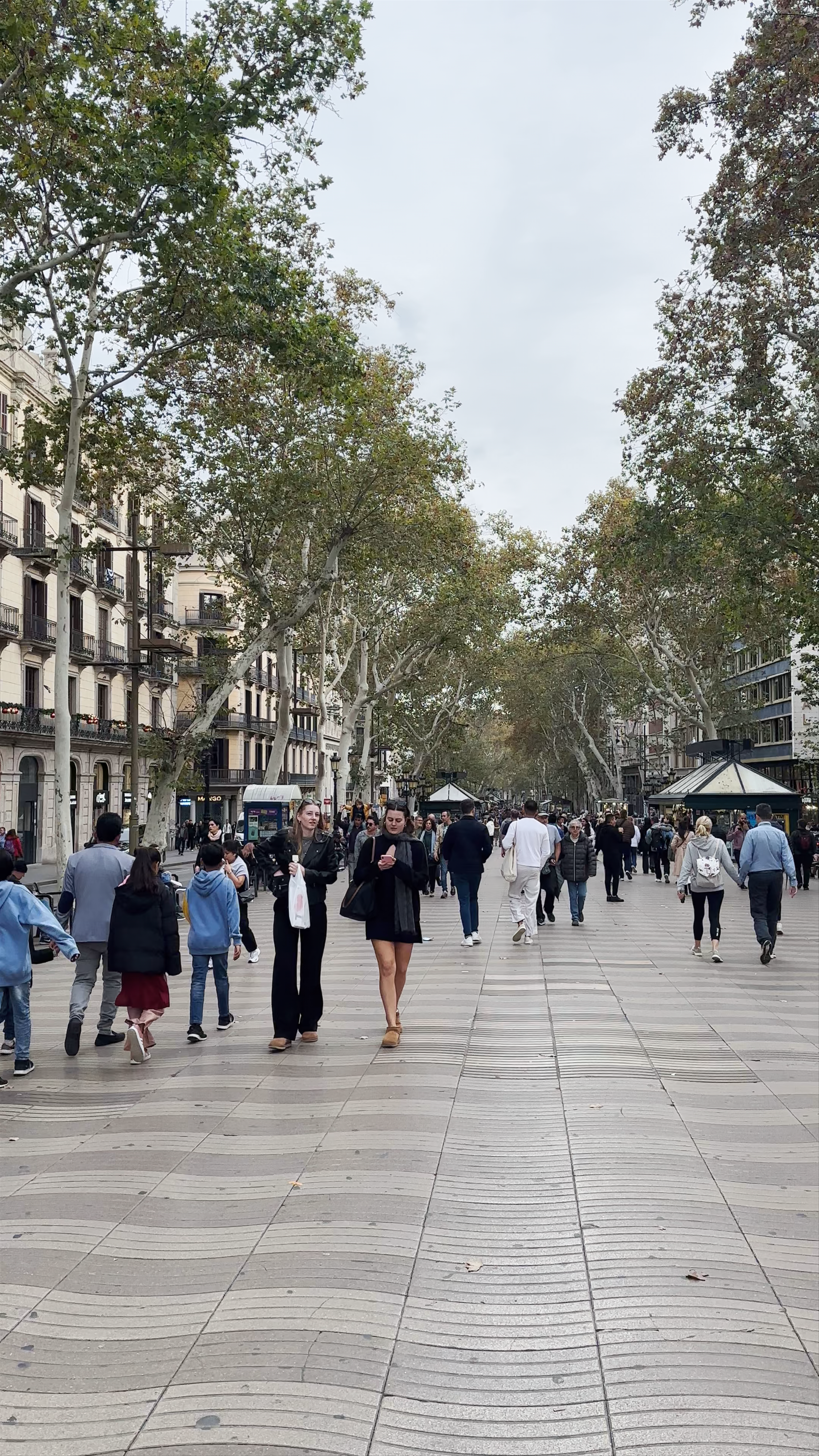 Strolling La Rambla: The Heartbeat of Barcelona
