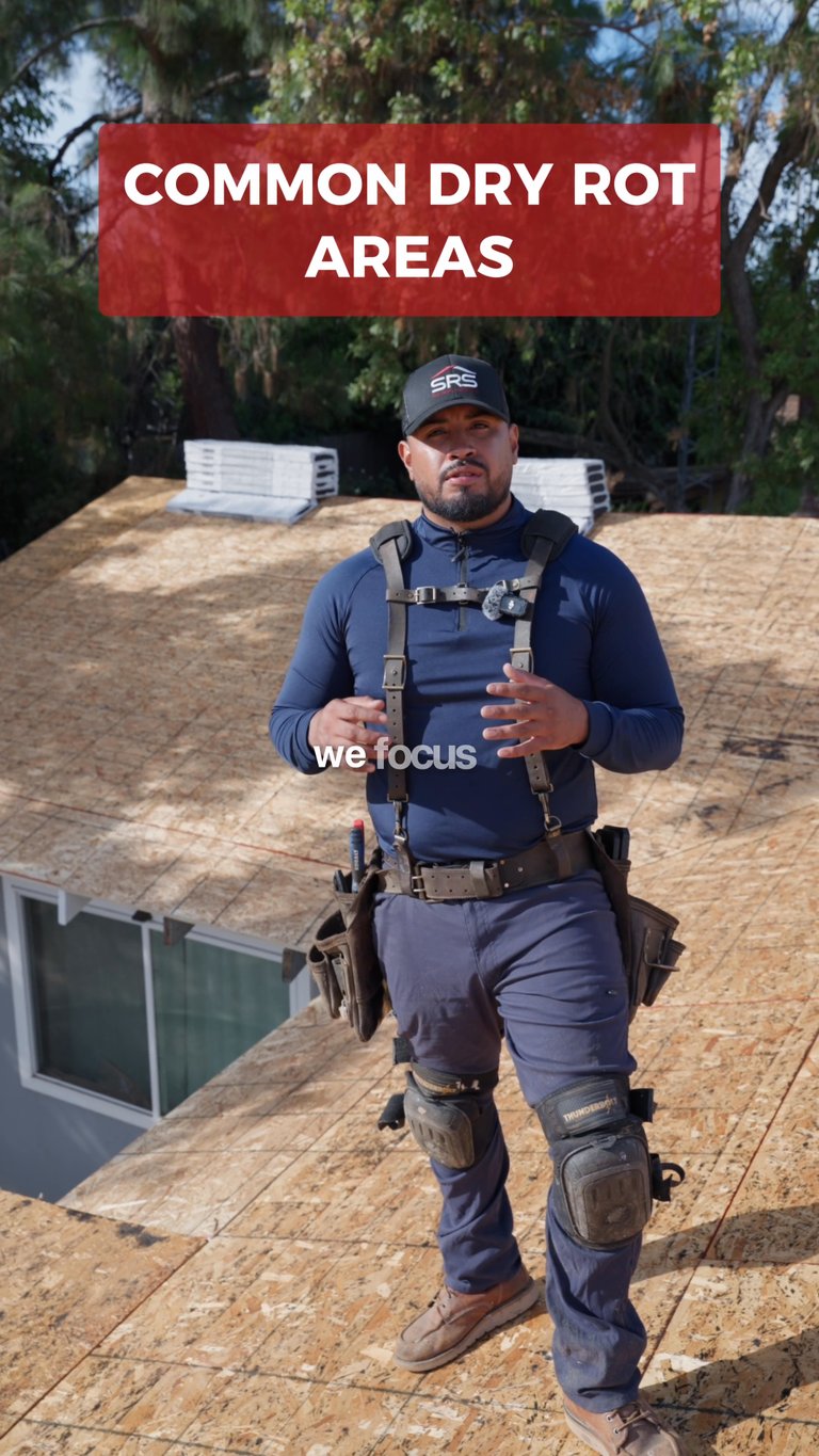 Rogelio explains dry rot found and repaired on a real roof replacement job.