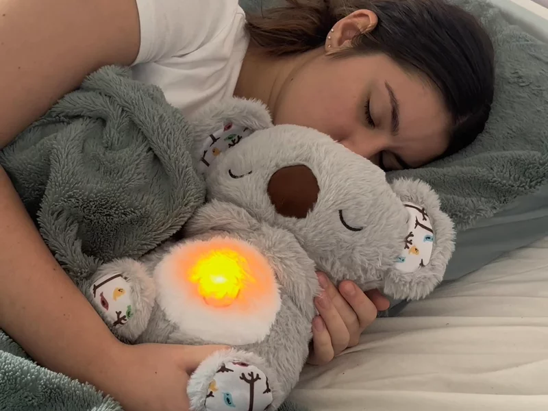 koala relief teddy
