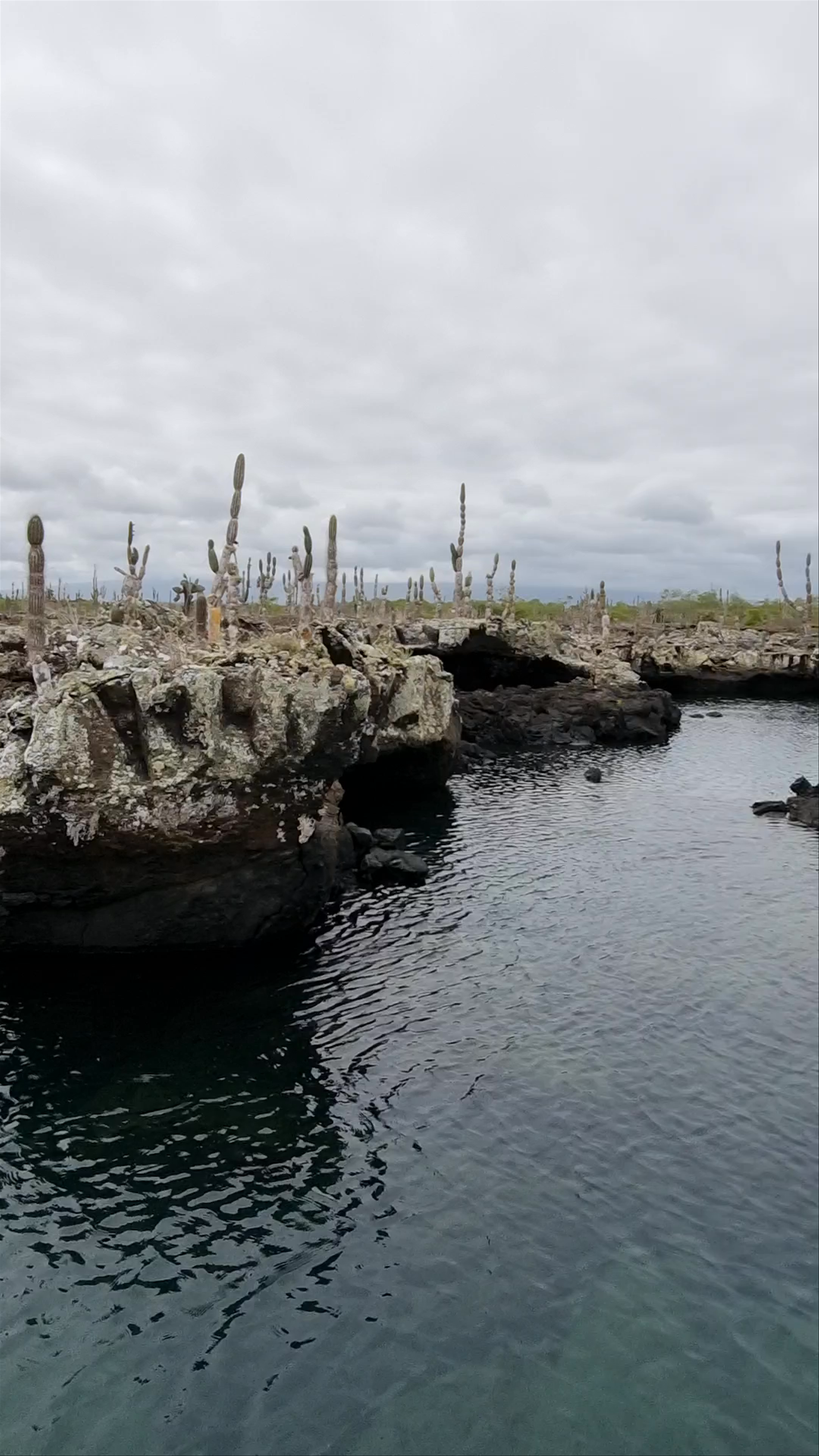 Snorkeling in Los Tuneles de Lava, Galápagos Islands, Ecuador