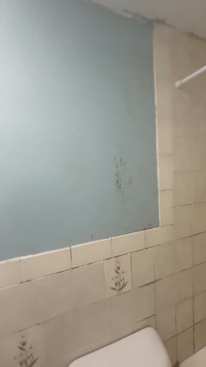 Blue Ocean Realty - This is the apartment they had a new born living in - Real Estate Services Near Me - Boston, Massachusetts