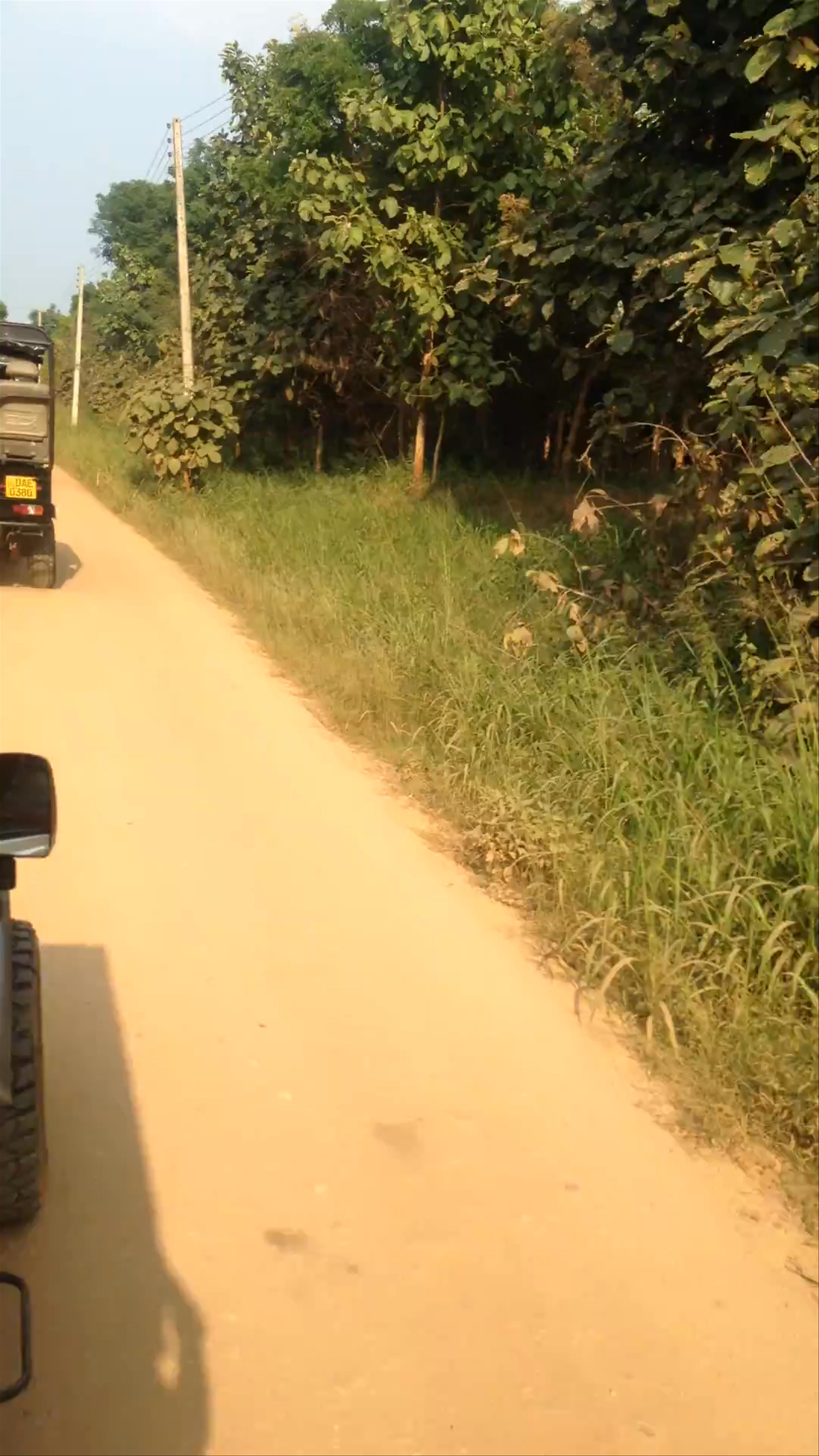 Udawalawe National Park Safari