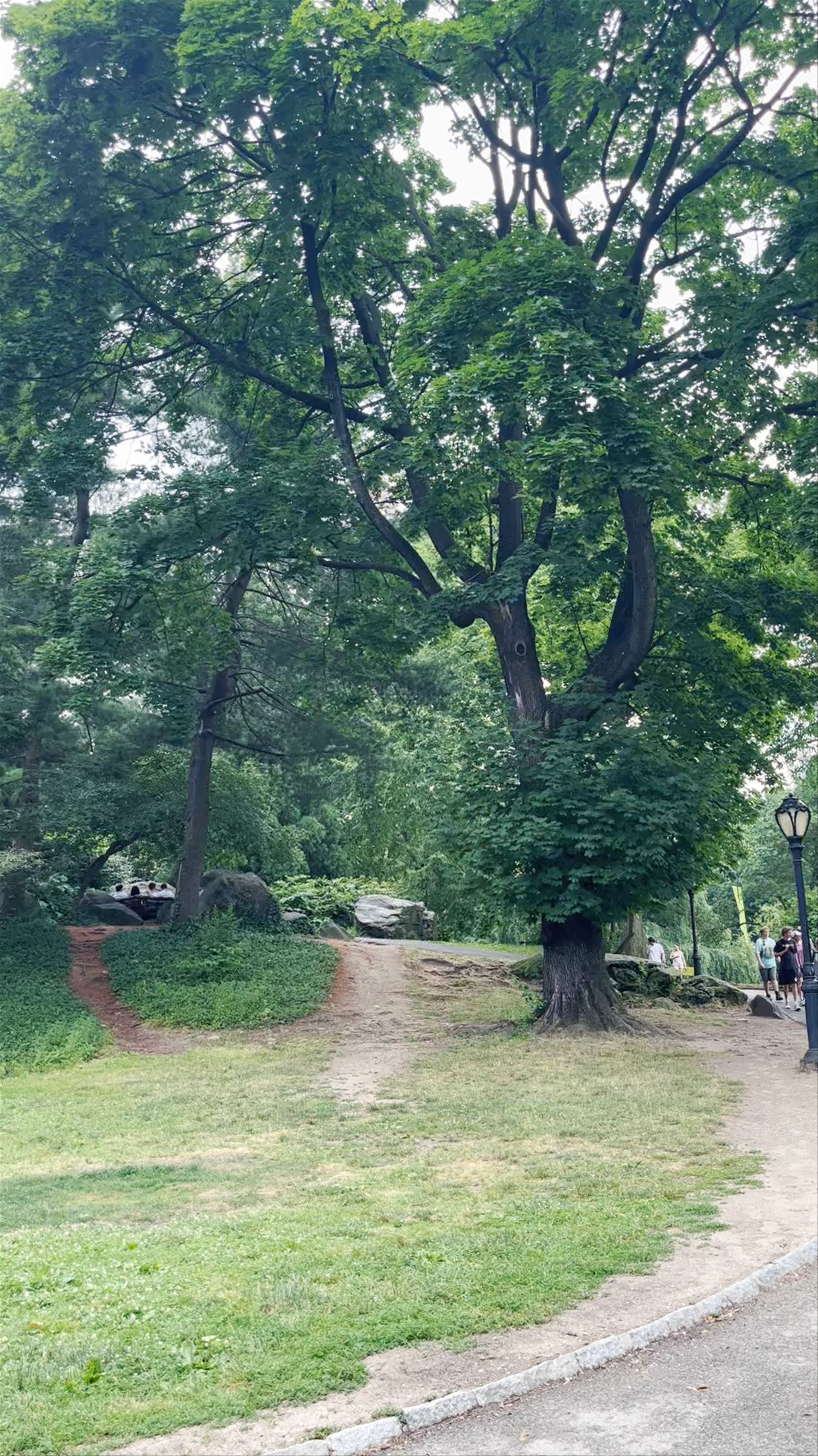 Central Park
