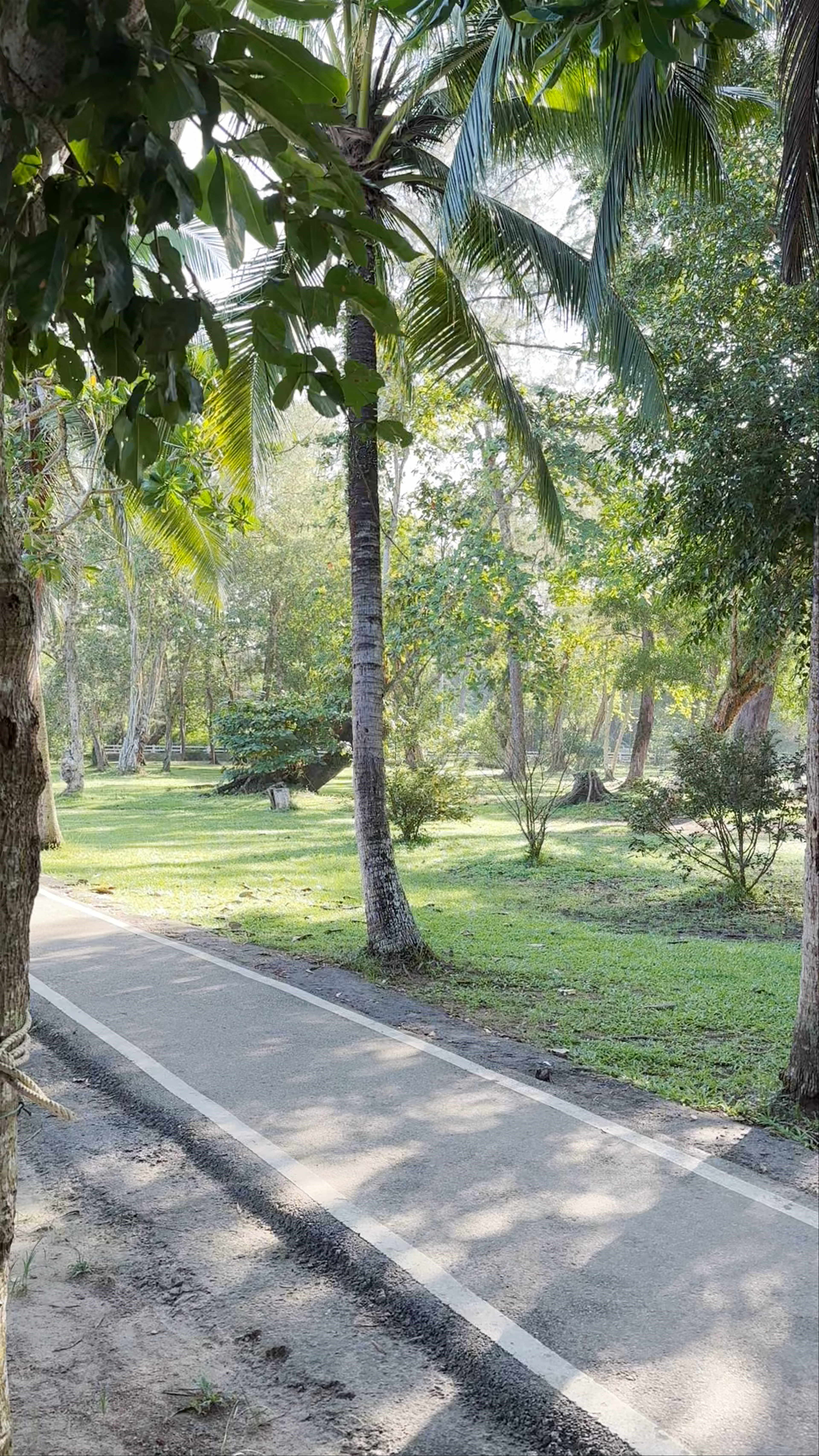 Serene Walk Through Hat Noppharat Thara Park, Ao Nang, Krabi