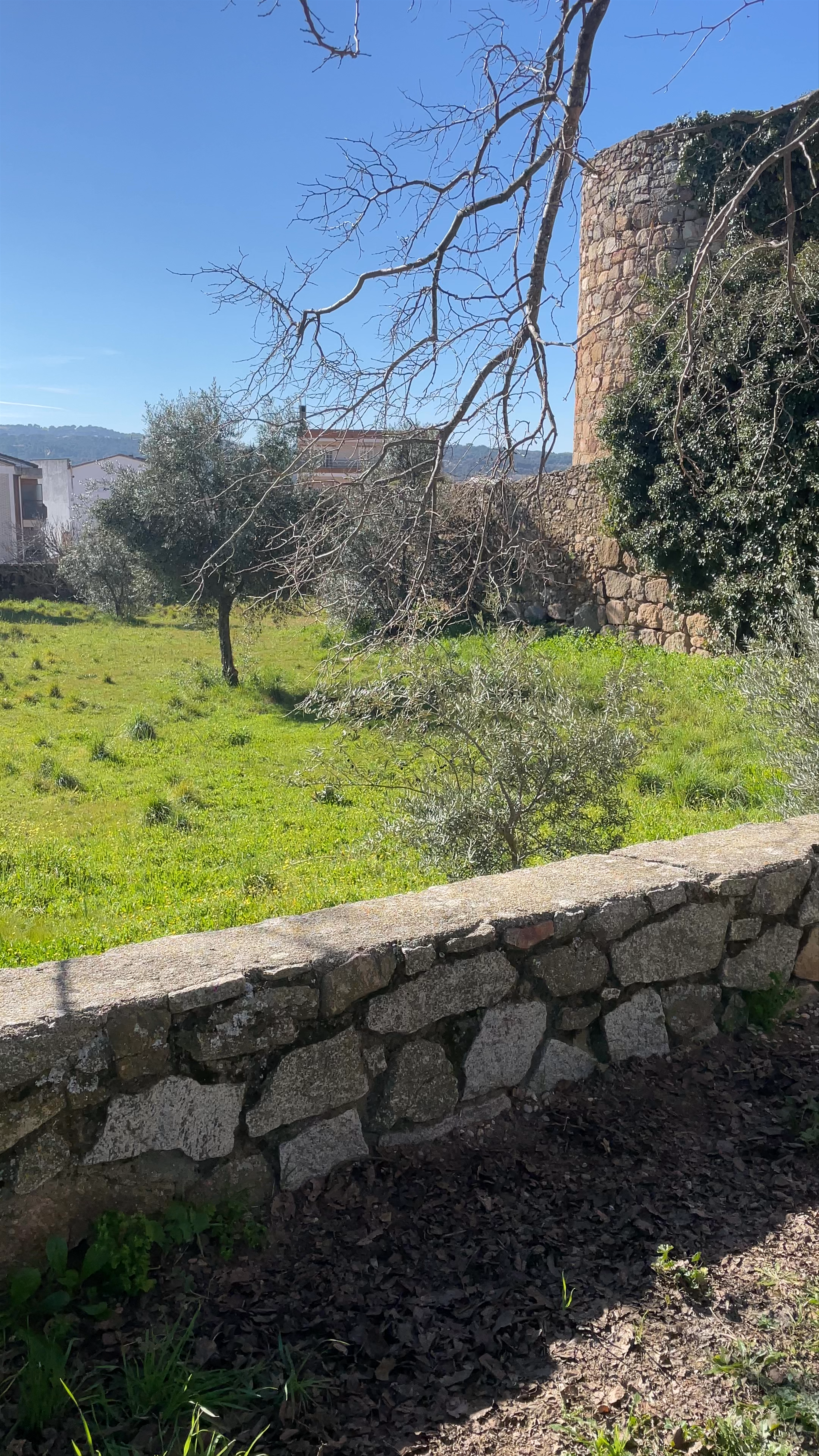 Castillo de la Coracera