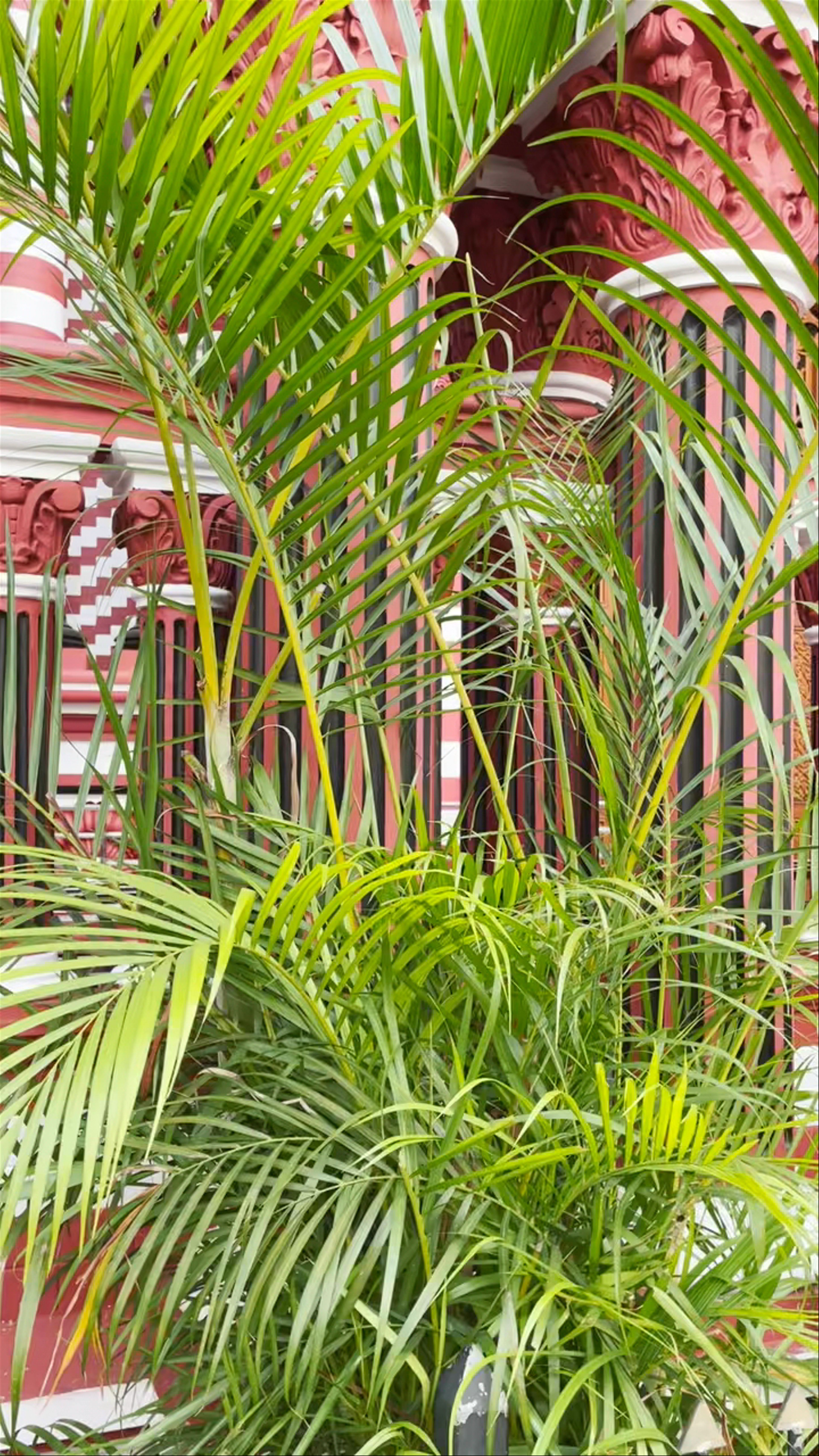 Lotus Tower - Colombo