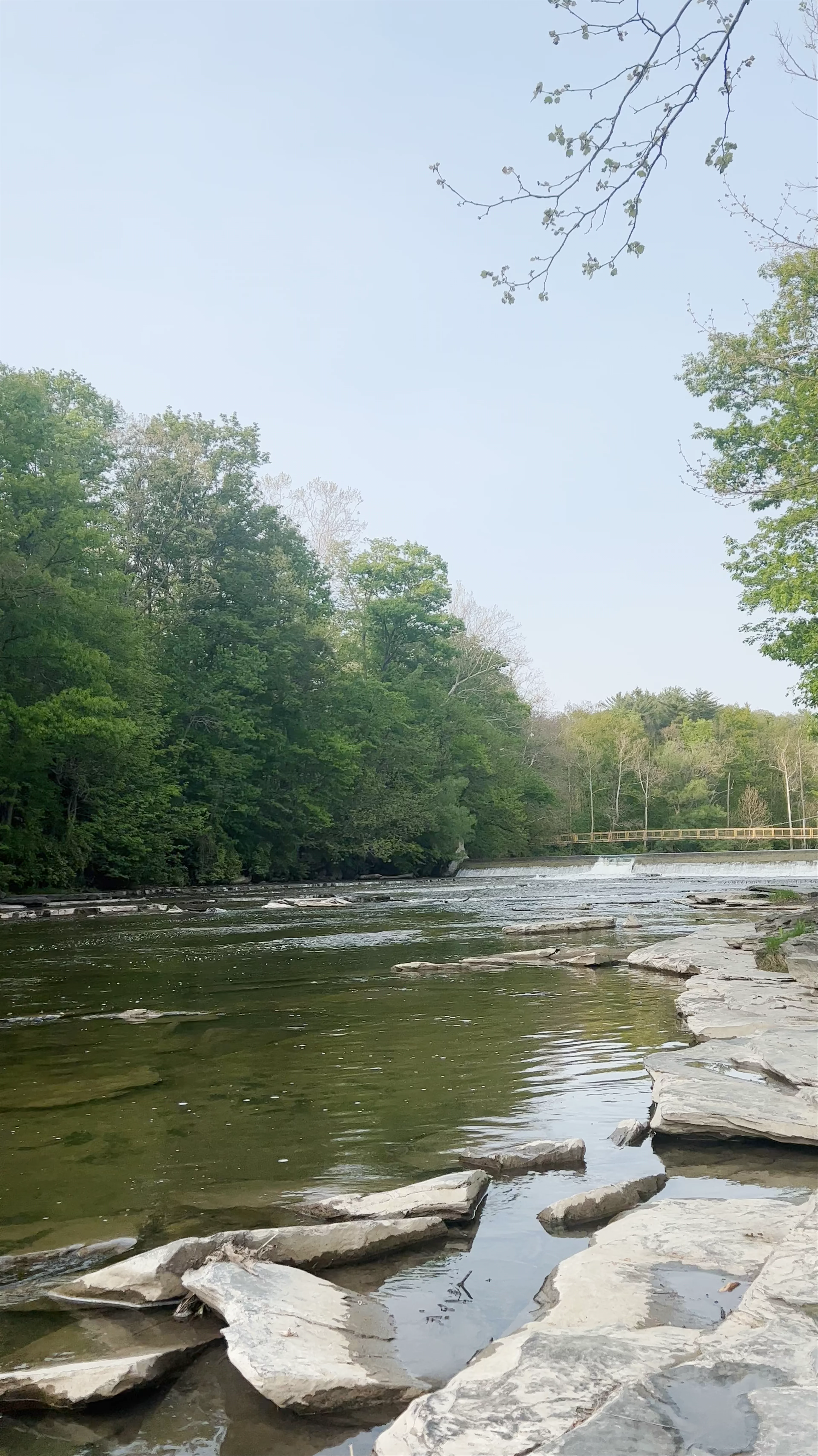 Flat Rock, Forest Home Drive
