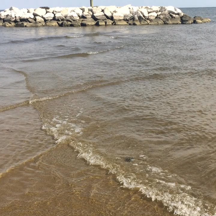 Beverly Triton Nature Park - Criss-crossing waves - Parks Near Me - Edgewater, Maryland