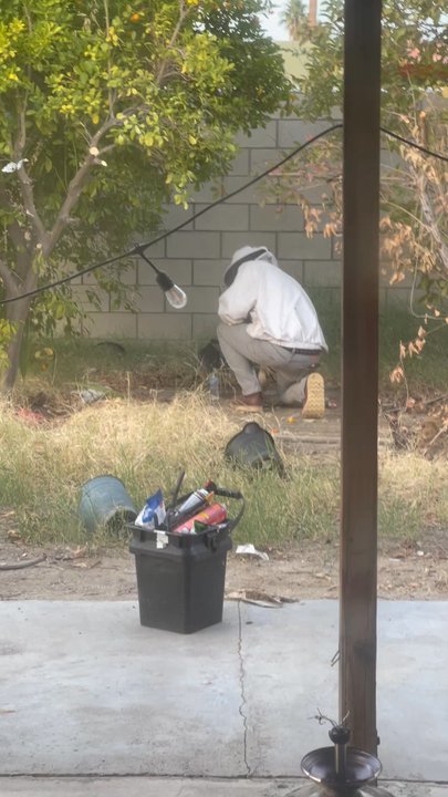 BeeSmart Bee Removal - Robert is the Bee Whisperer! - Pest Control Near Me - Hemet, California