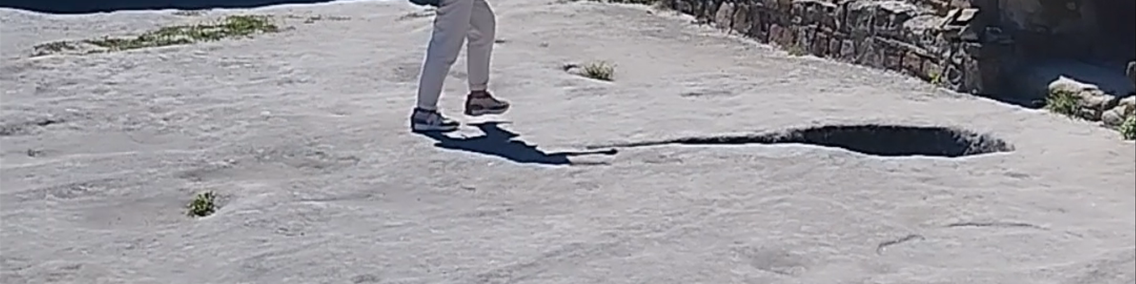 Gori