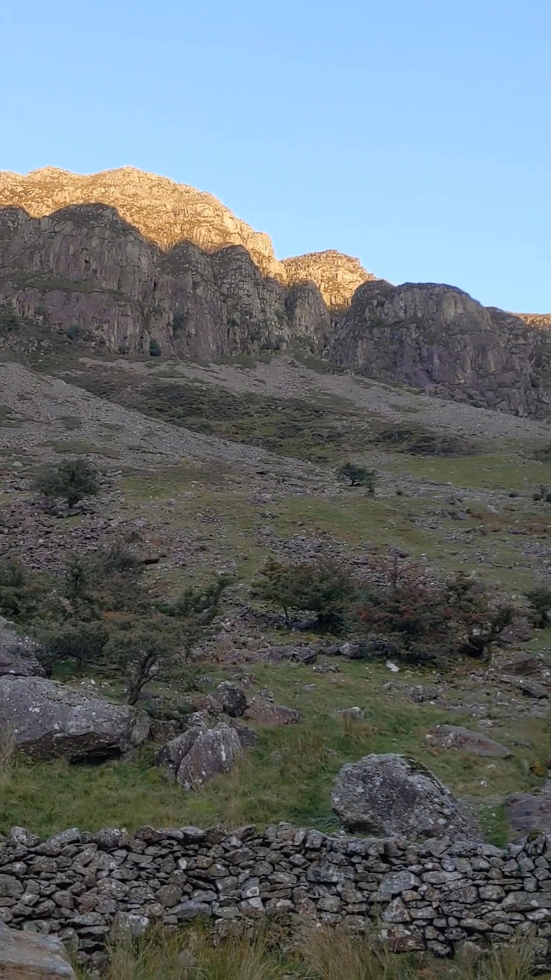 Another wild camp! photo 12