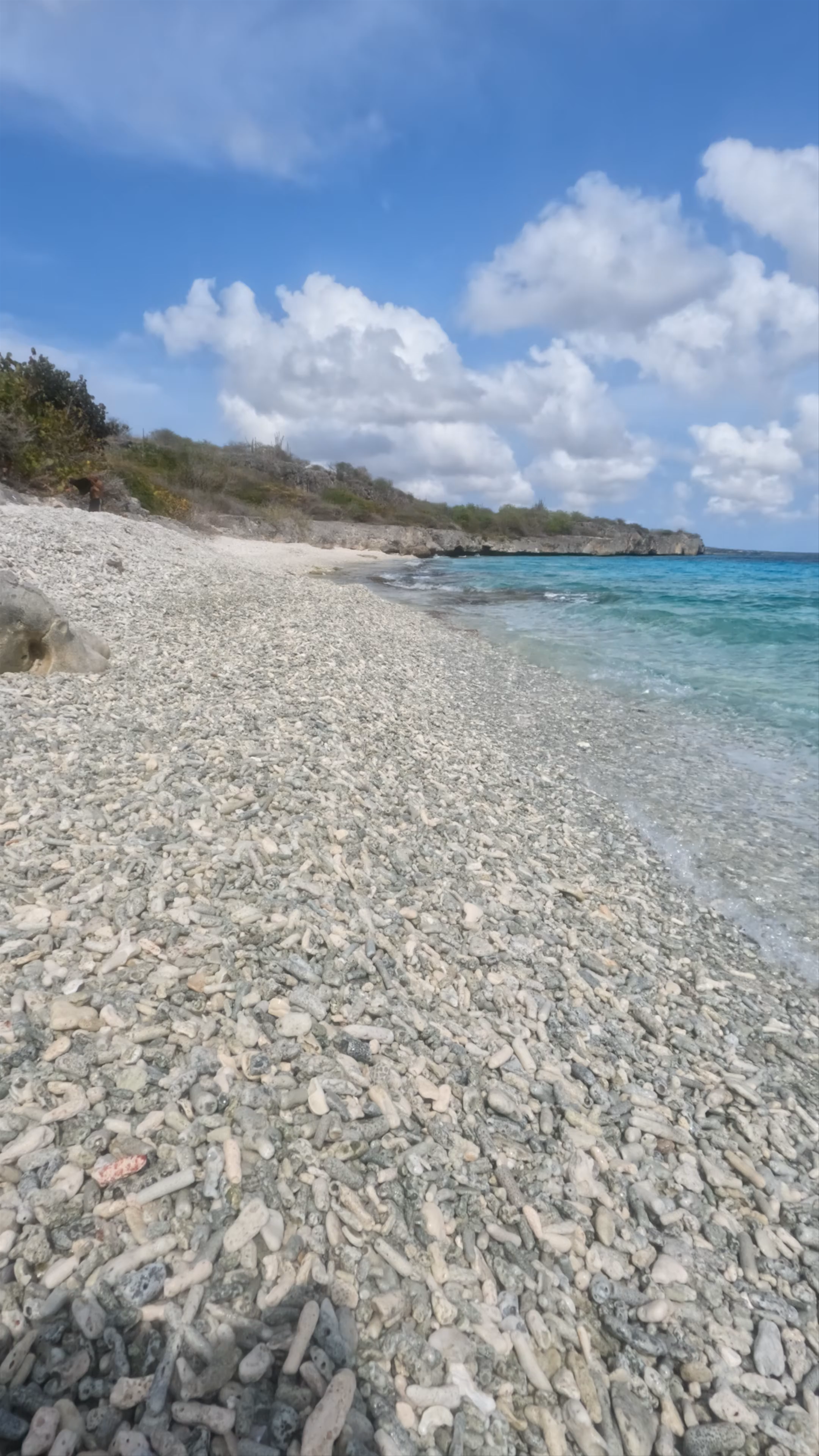 Tolo Divesite (Ol' Blue