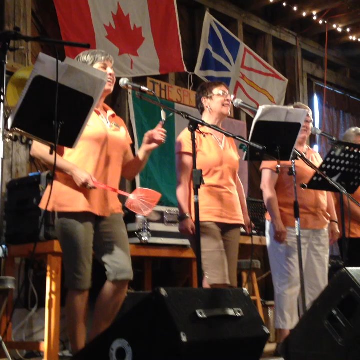 Touton House Twillingate - The Fly song... Shhhhhhhh! - Music Venues Near Me - Twillingate, Newfoundland and Labrador