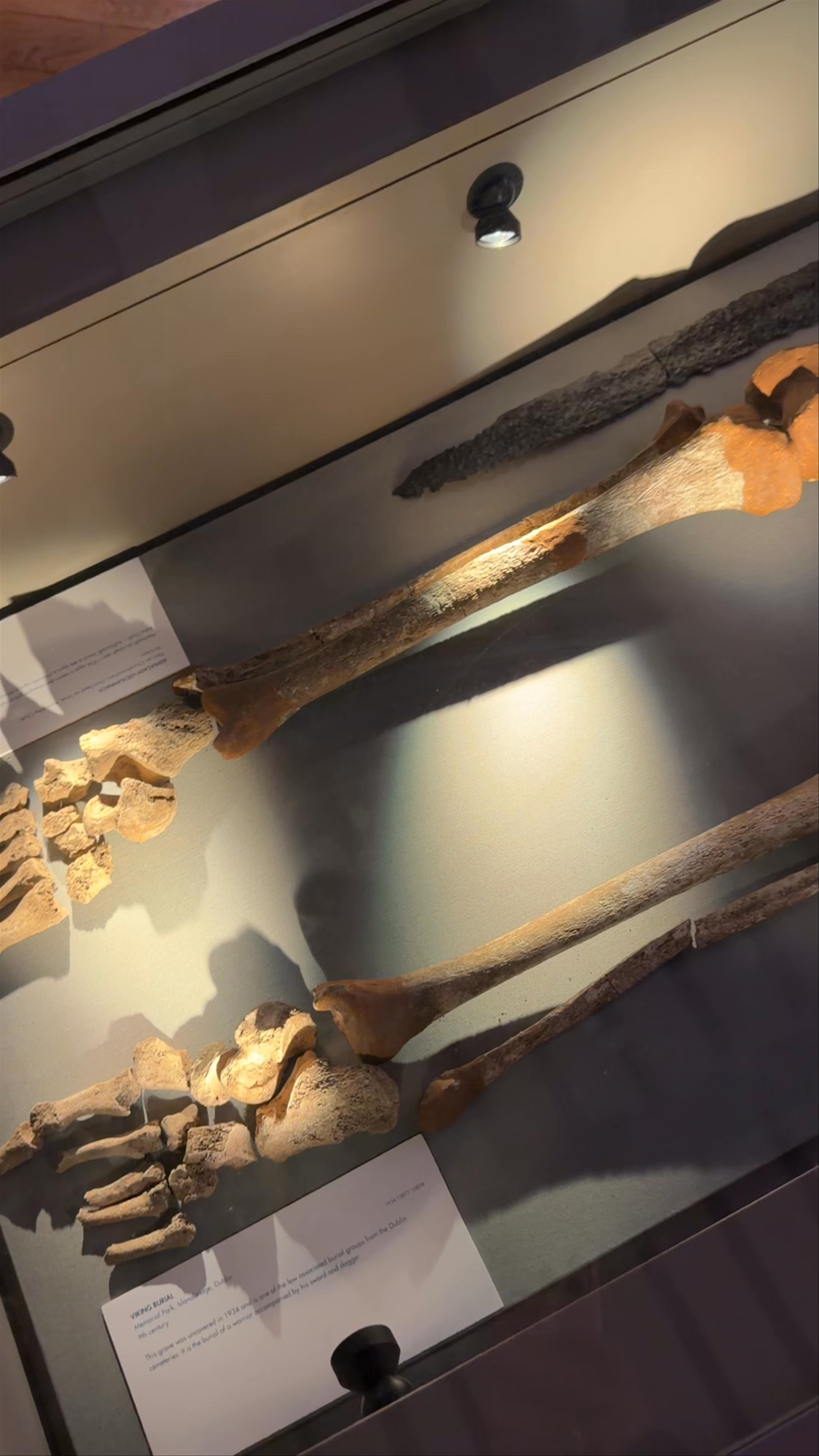 National Museum of Ireland