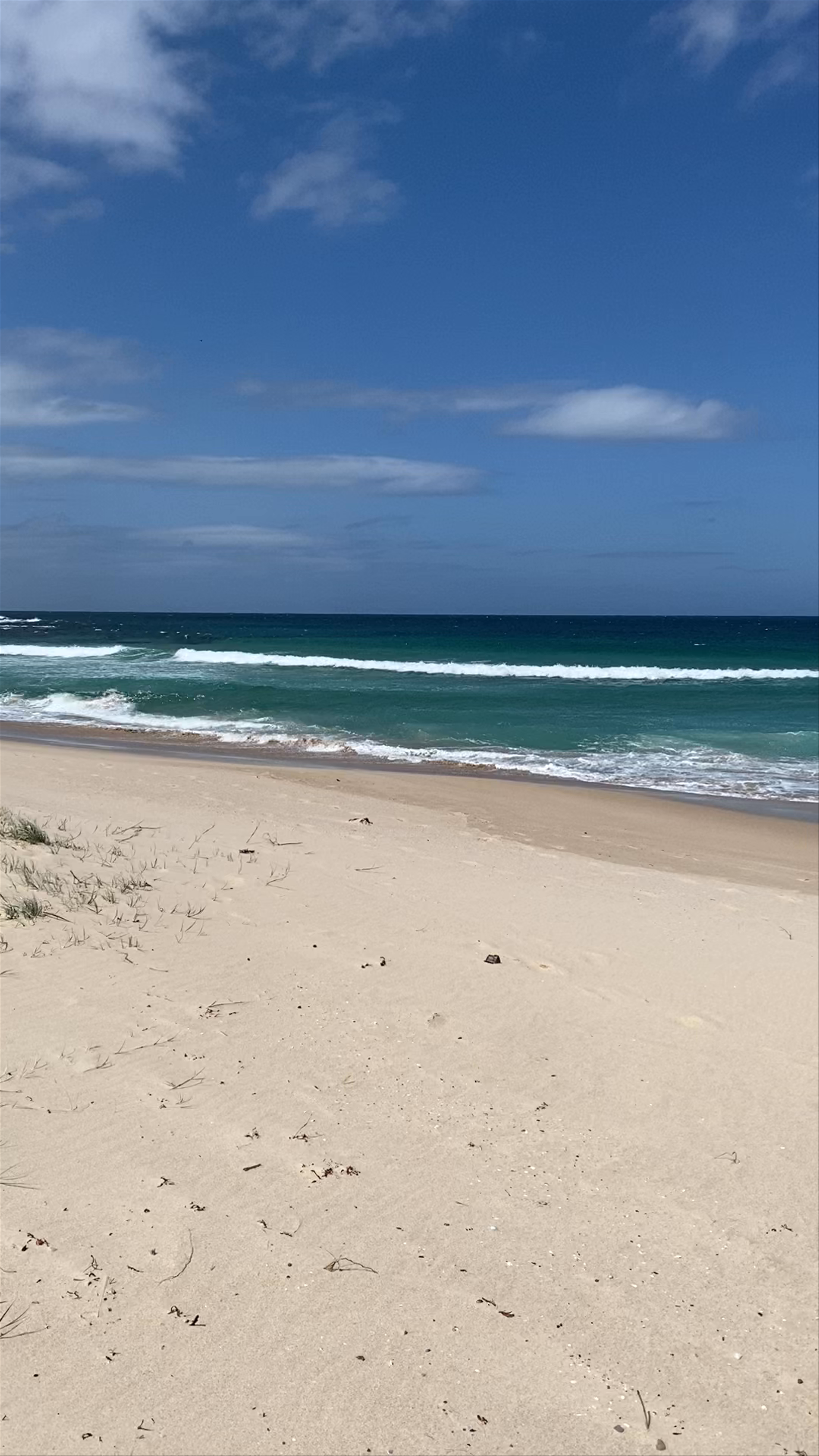 Shellharbour Reserve