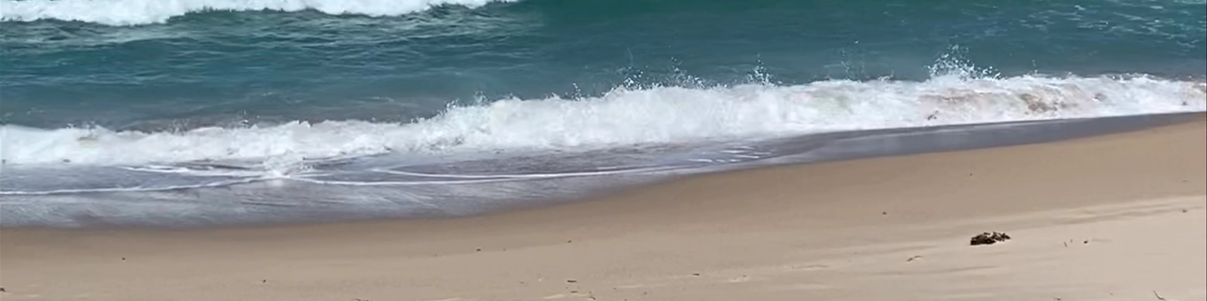 Shellharbour Reserve