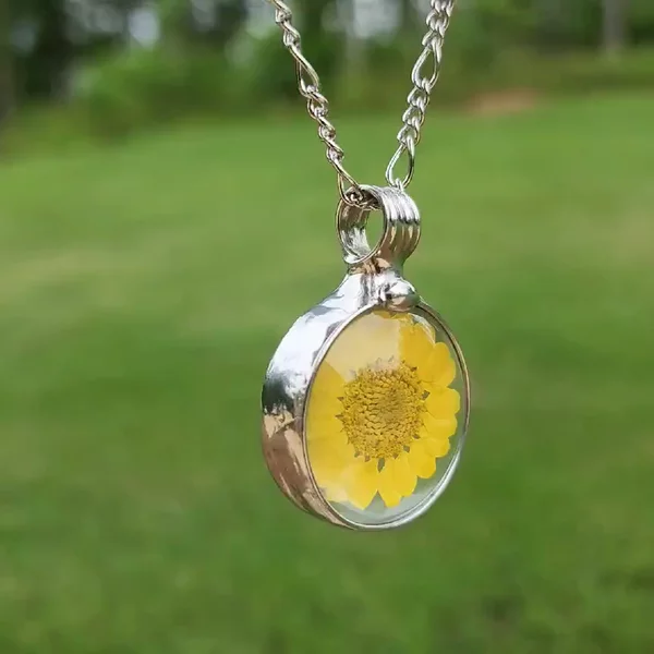 Preview image for video