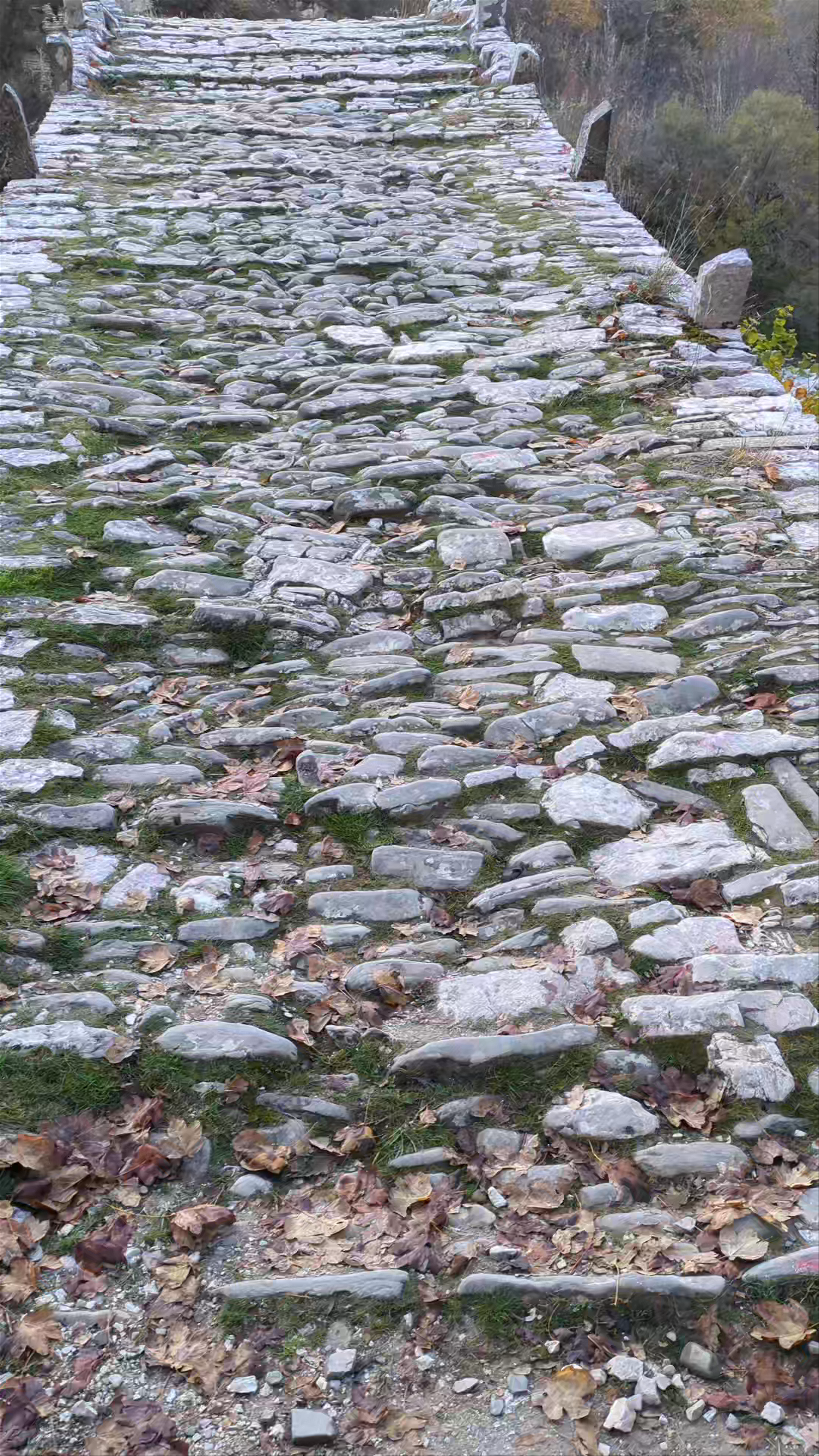 Plakidas Bridge: Timeless Stone Pathway in Kipi, Greece